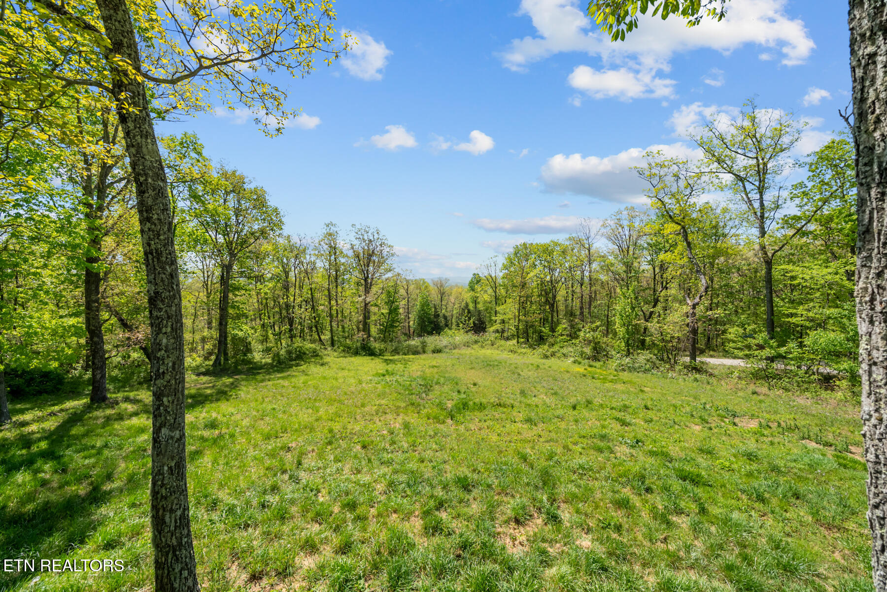 74 Black Cat Trail Rockwood TN 37854