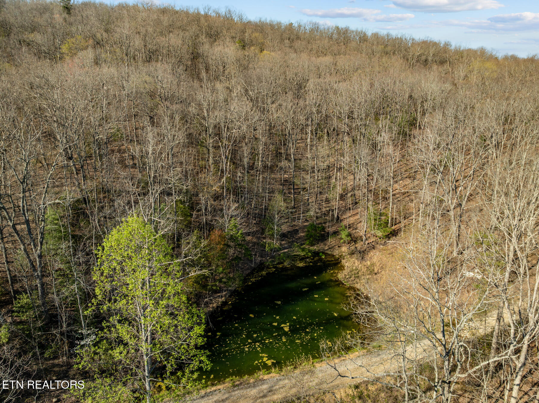 74 Black Cat Trail Rockwood TN 37854