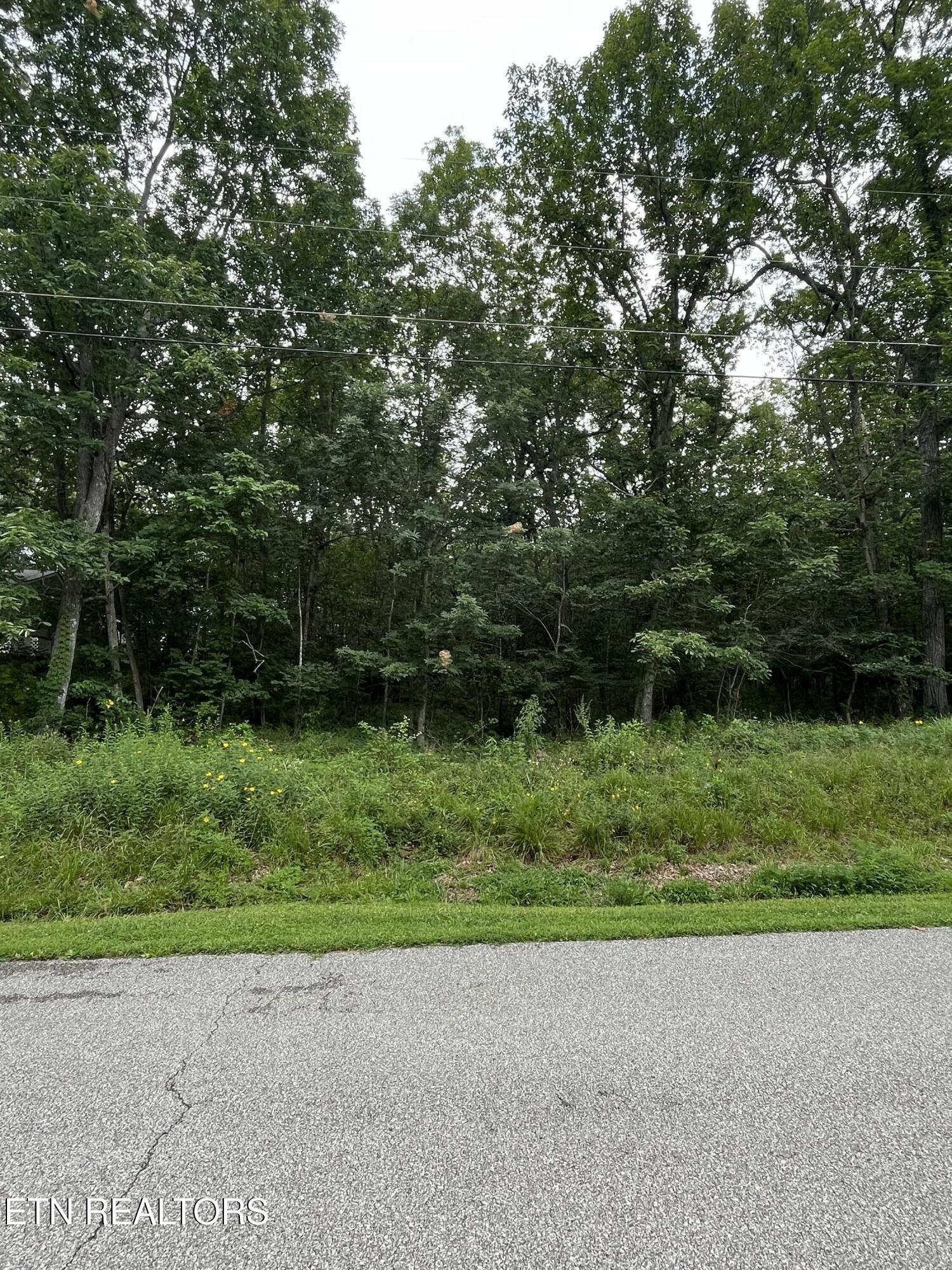 155 Canterbury Dr. Drive Crossville TN 38558