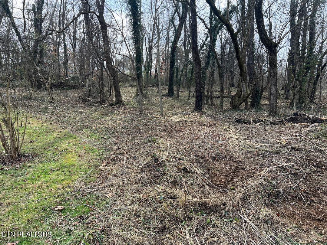 4410 Cave Mill Road Maryville TN 37804