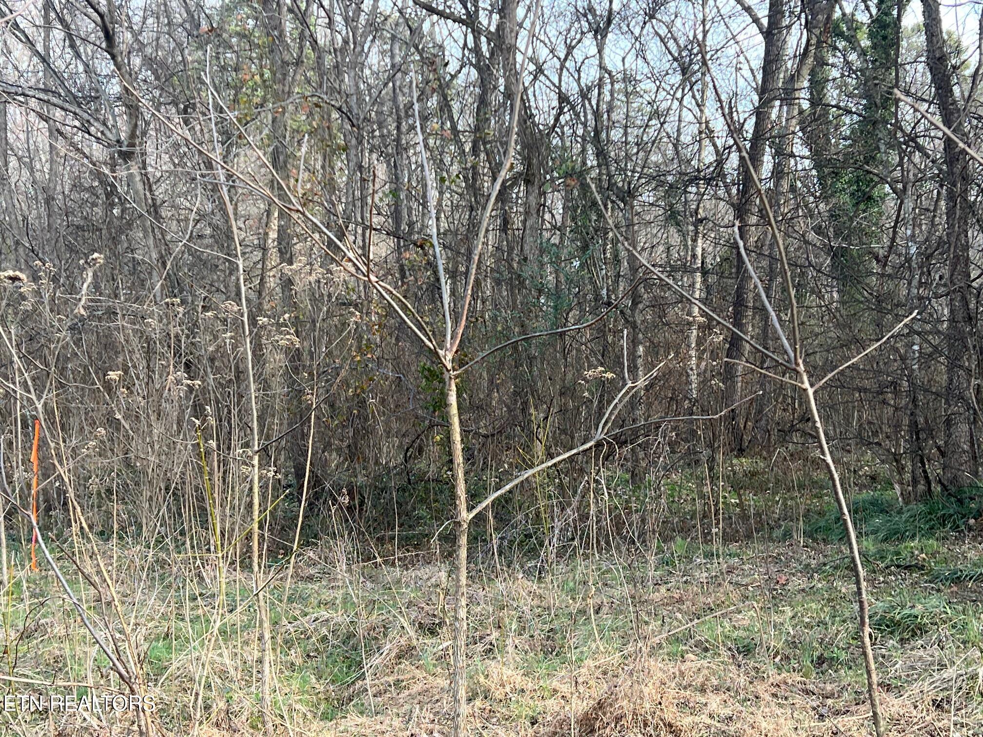 4410 Cave Mill Road Maryville TN 37804
