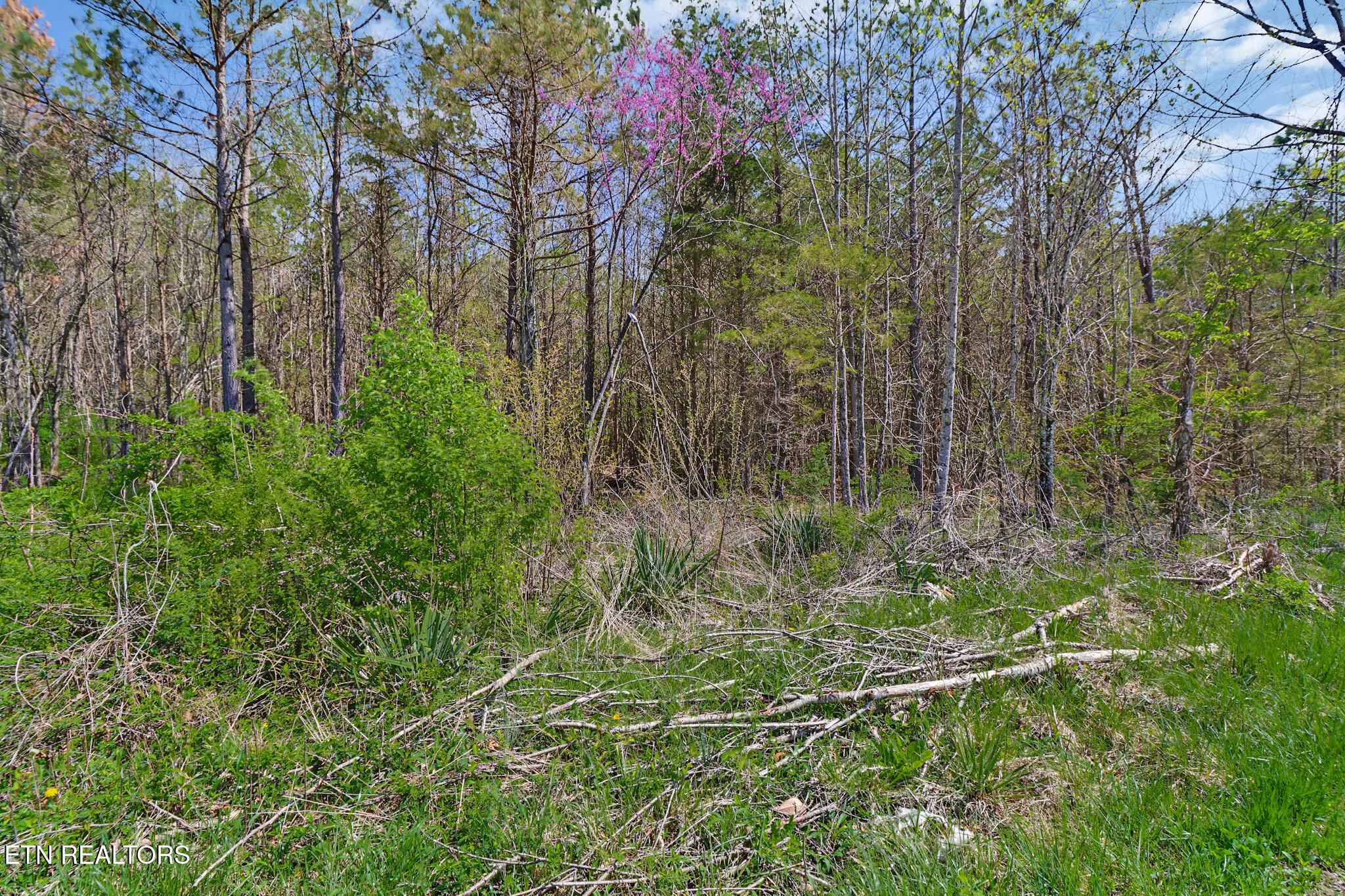 Fred Tollett Road Crossville TN 38572
