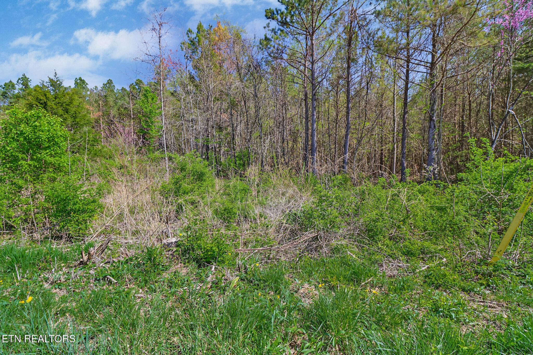 Fred Tollett Road Crossville TN 38572