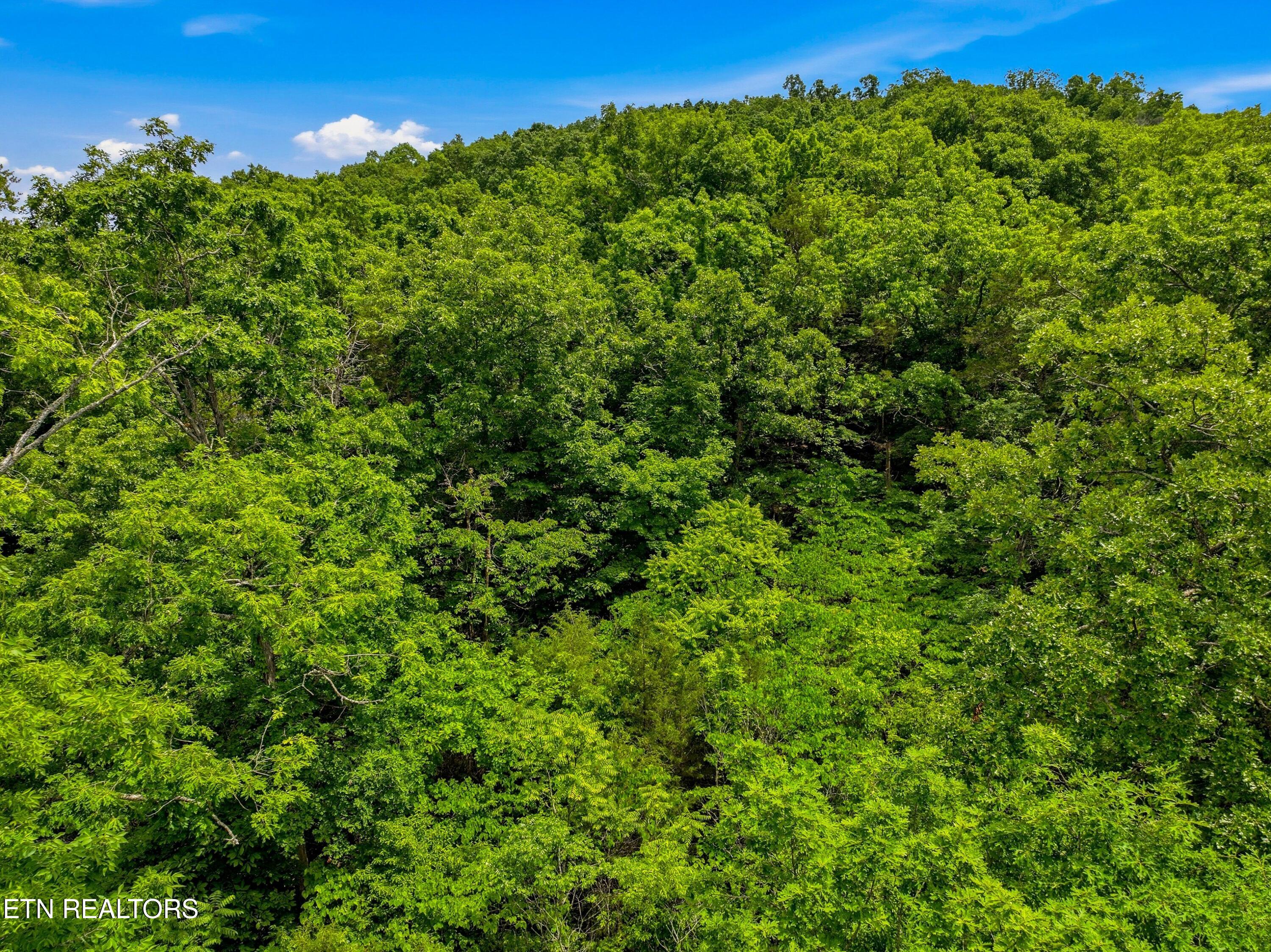 Lot 110 Eagles Ridge Tazewell TN 37879