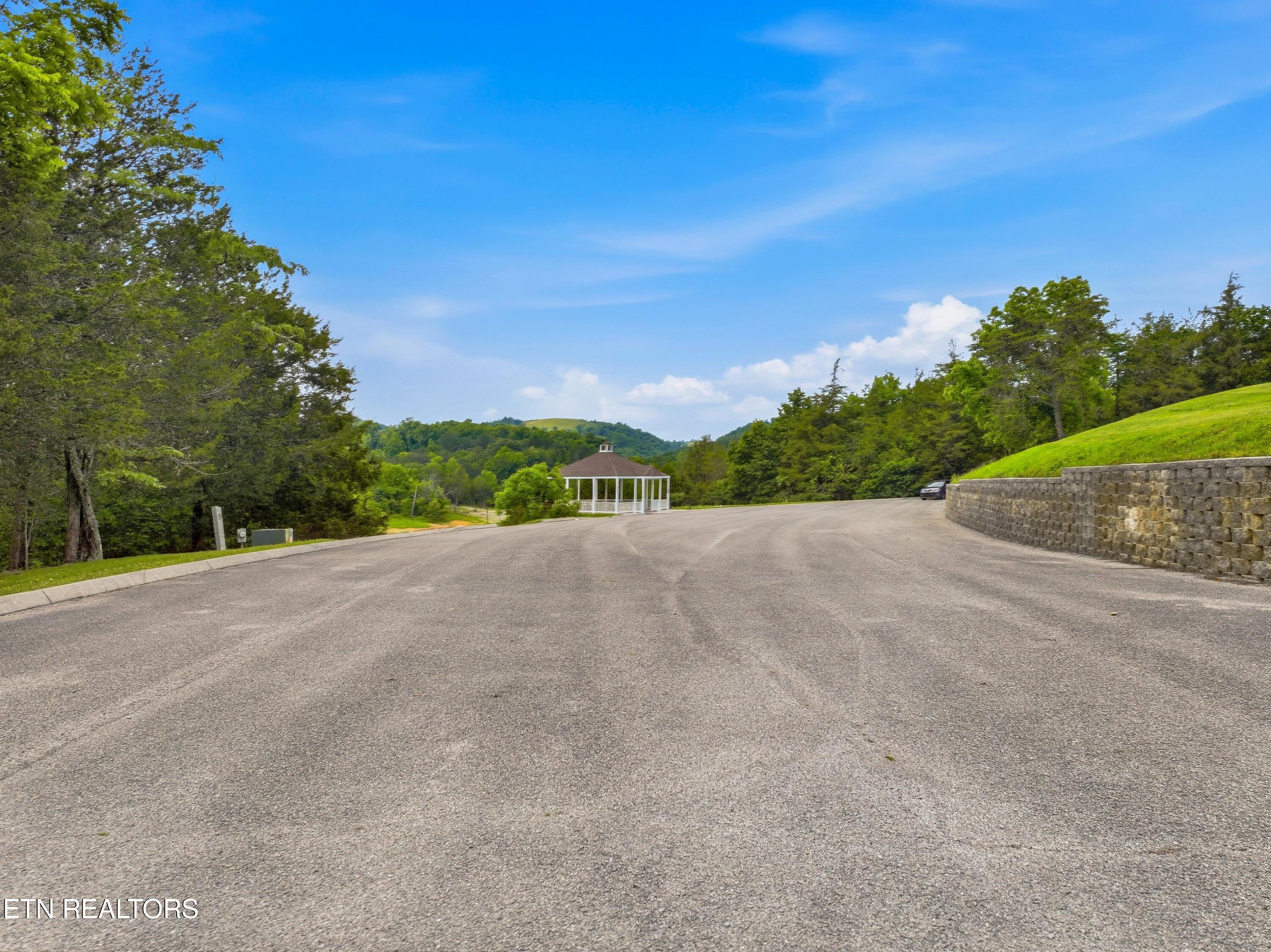 Lot 110 Eagles Ridge Tazewell TN 37879