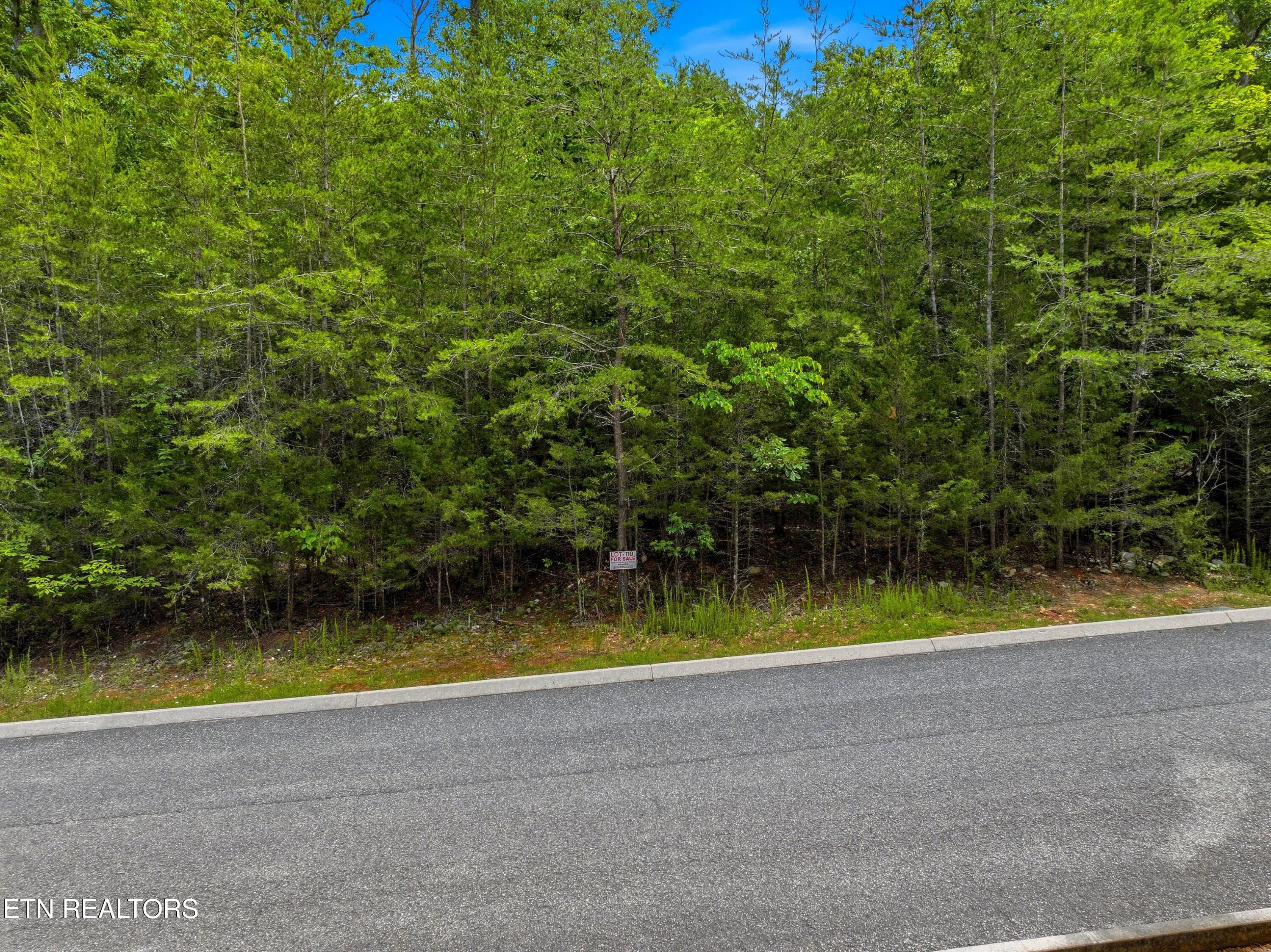 Lot 110 Eagles Ridge Tazewell TN 37879
