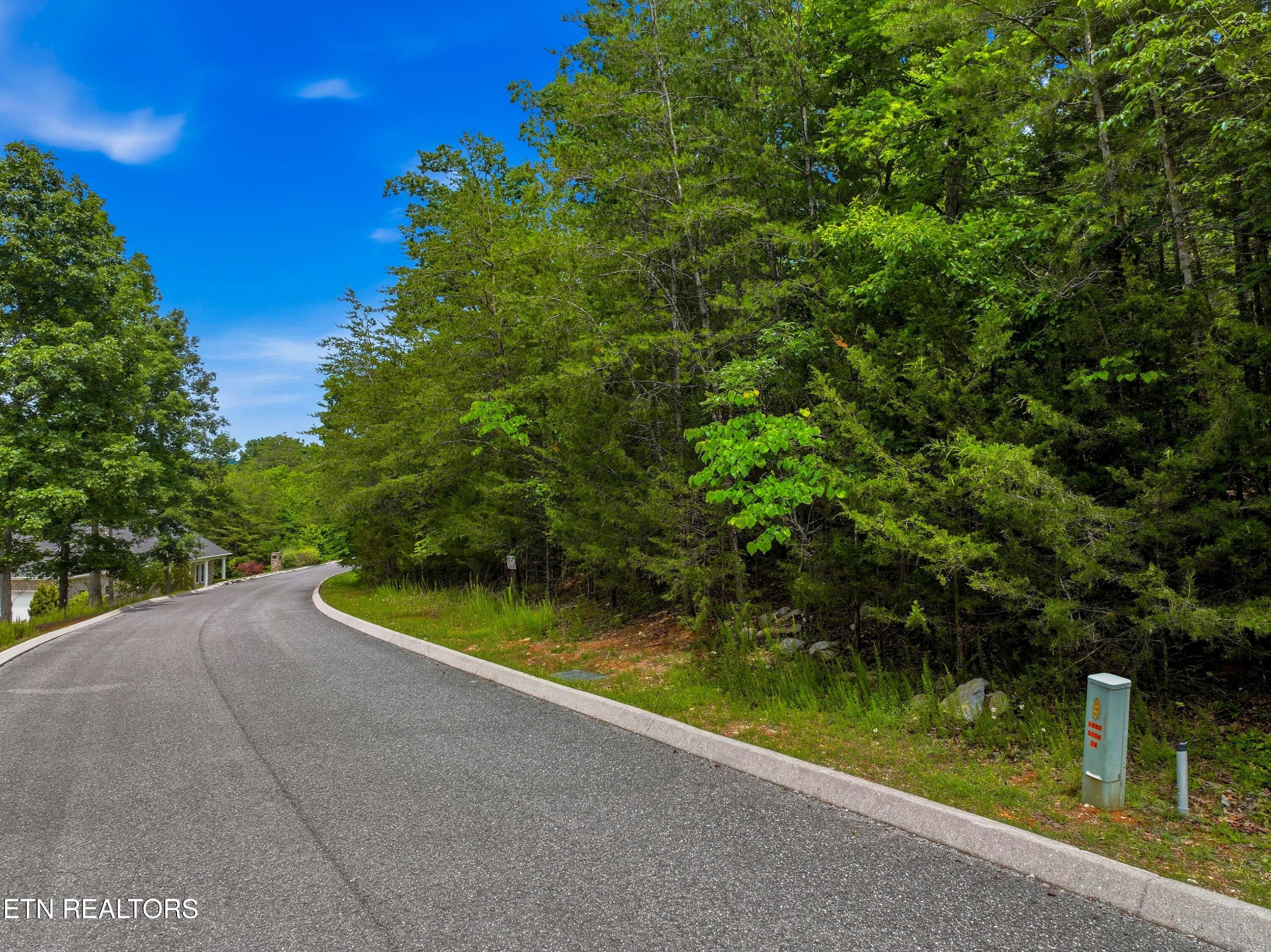 Lot 110 Eagles Ridge Tazewell TN 37879