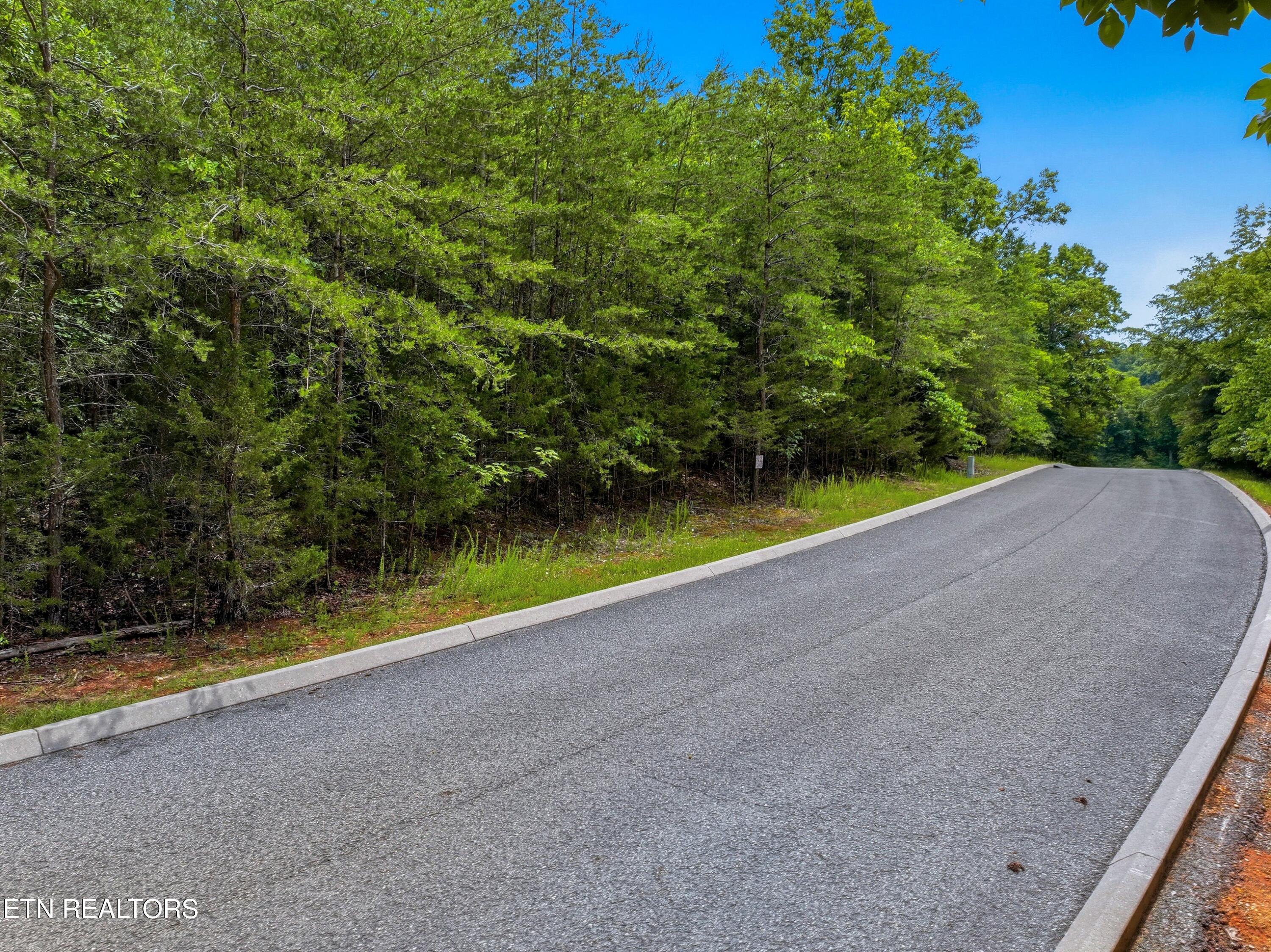Lot 110 Eagles Ridge Tazewell TN 37879