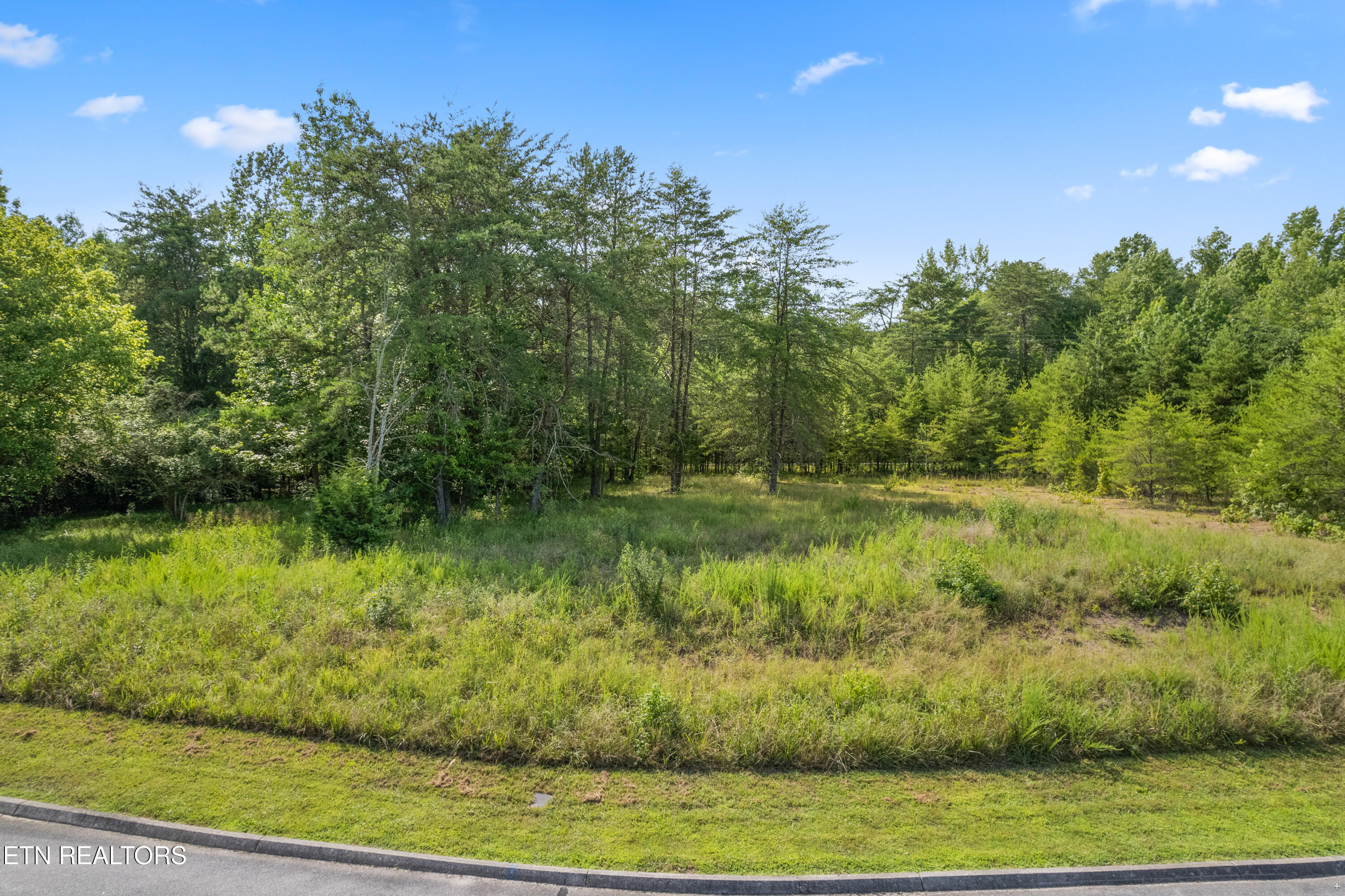 Lot 78 Creekside Drive Harriman TN 37748