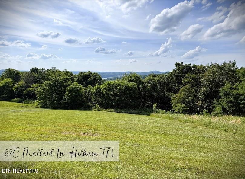 82 Mallard Road Hilham TN 38568