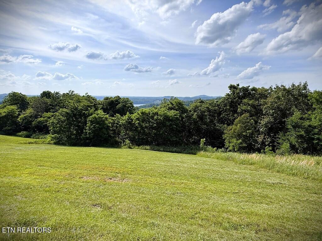 82 Mallard Road Hilham TN 38568