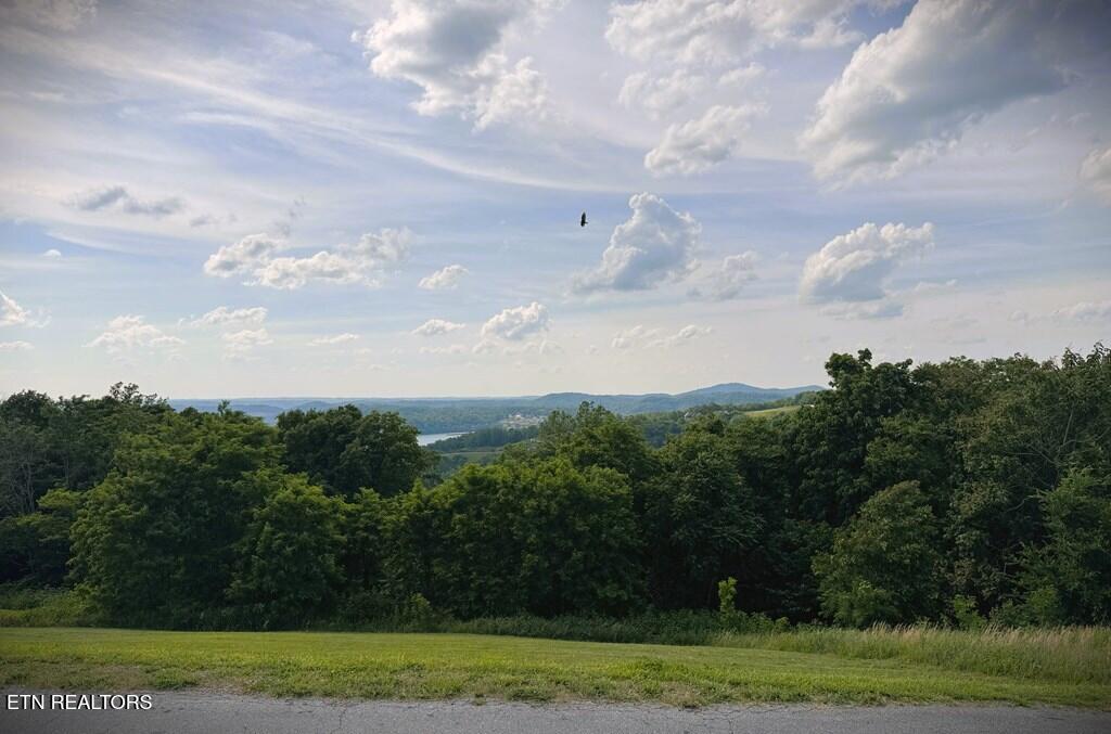 82 Mallard Road Hilham TN 38568