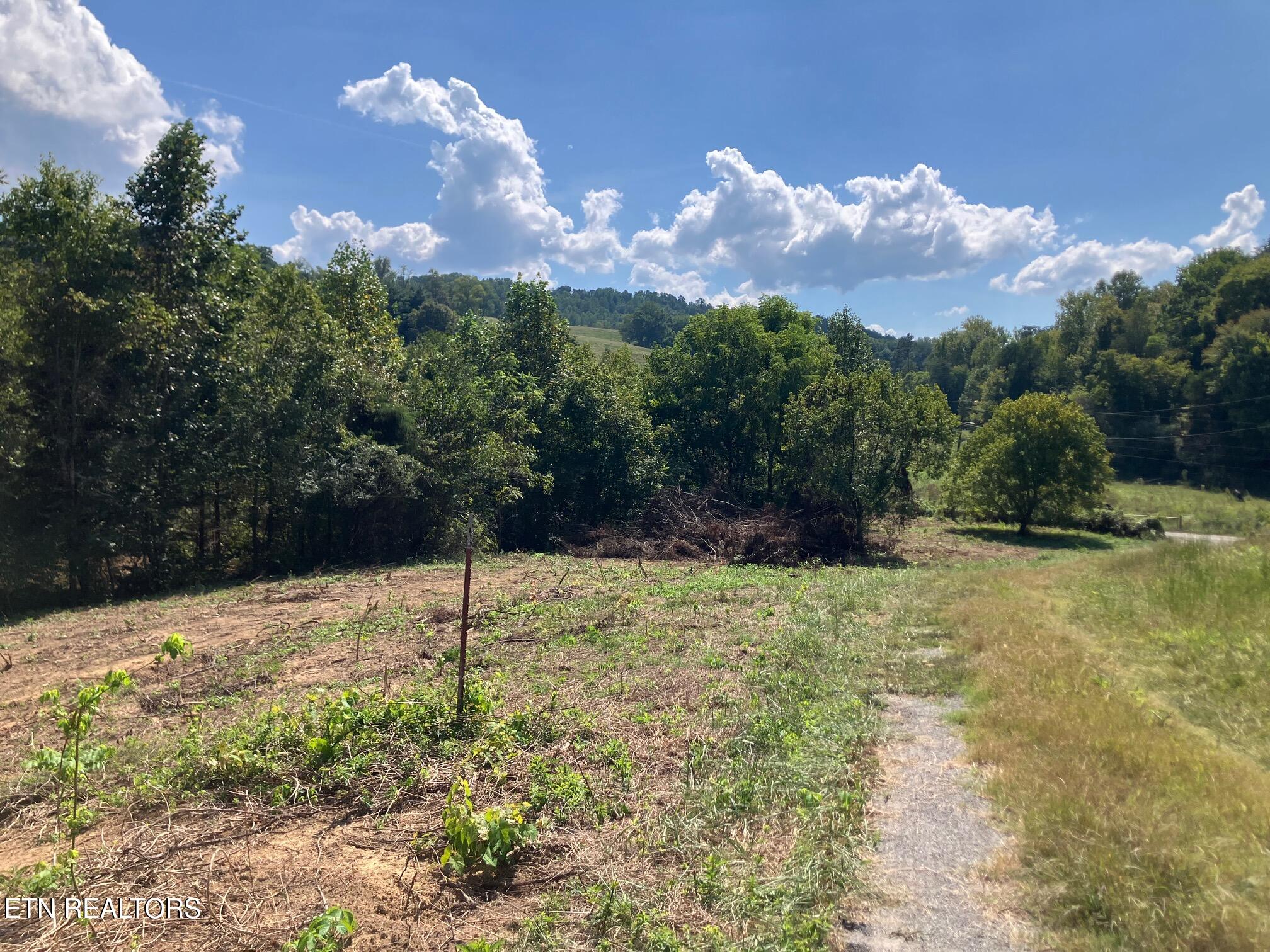 Tract 1 Ousley Gap Road Maynardville TN 37807
