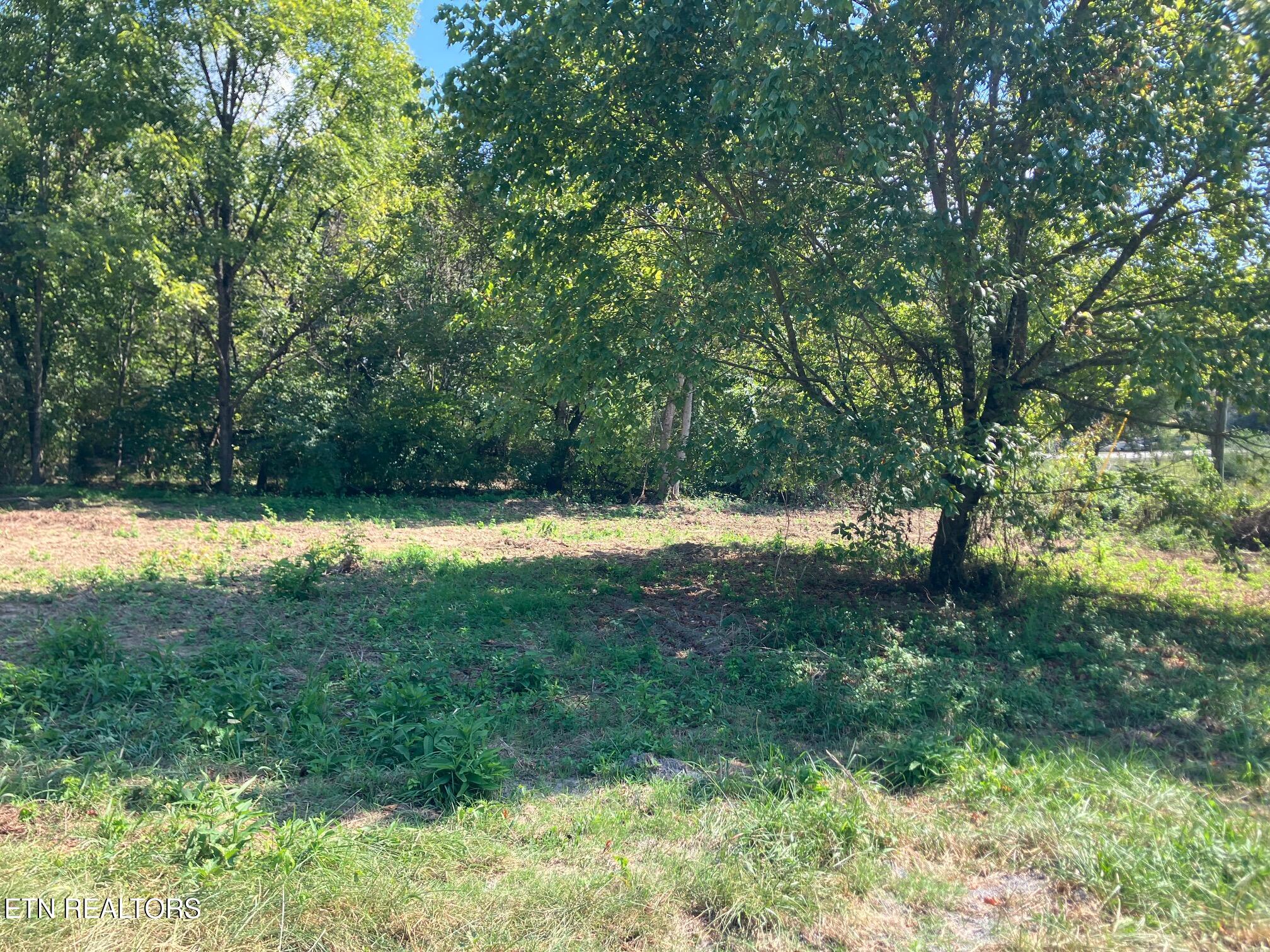 Tract 1 Ousley Gap Road Maynardville TN 37807