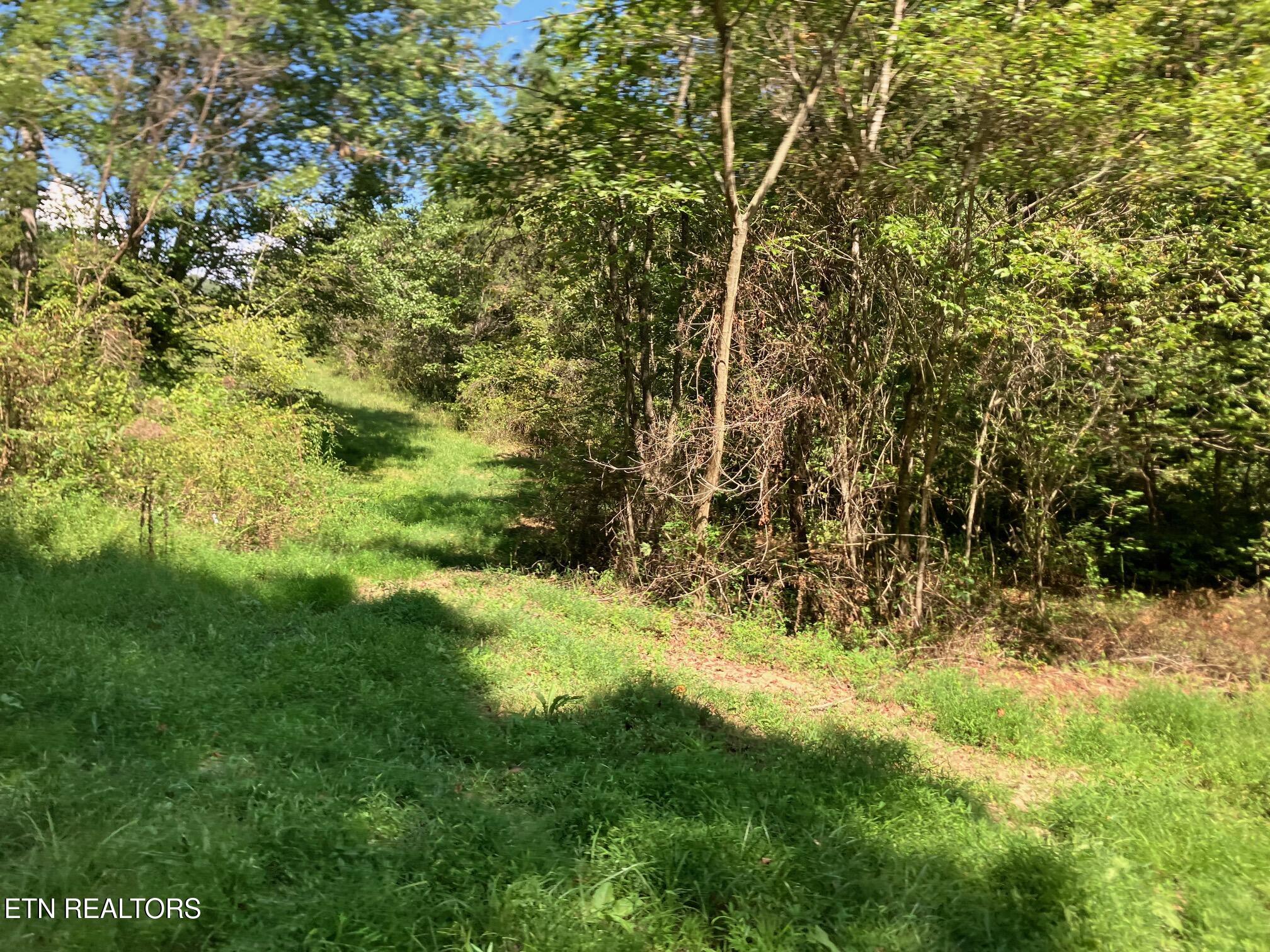 Tract 1 Ousley Gap Road Maynardville TN 37807