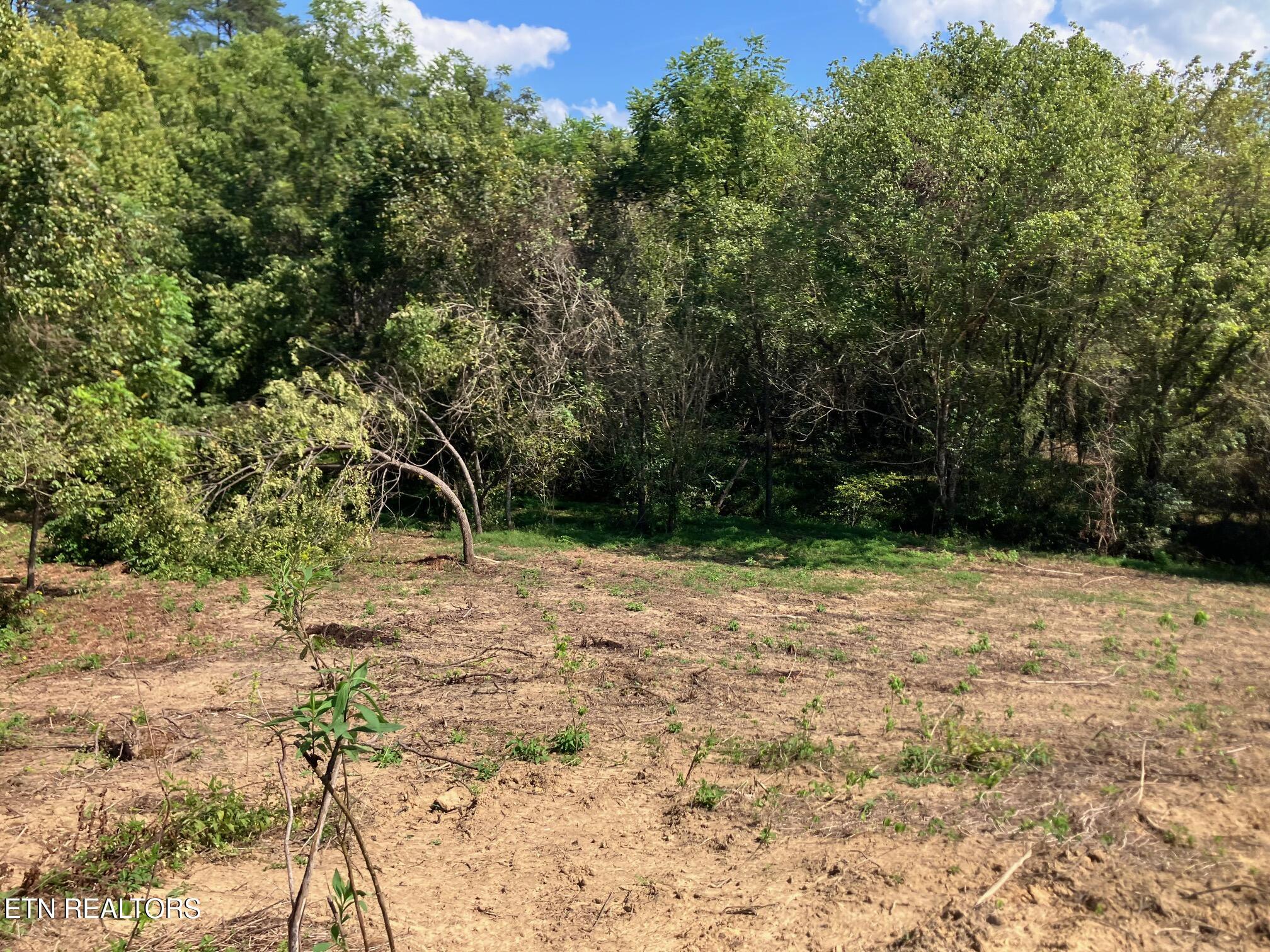 Tract 1 Ousley Gap Road Maynardville TN 37807