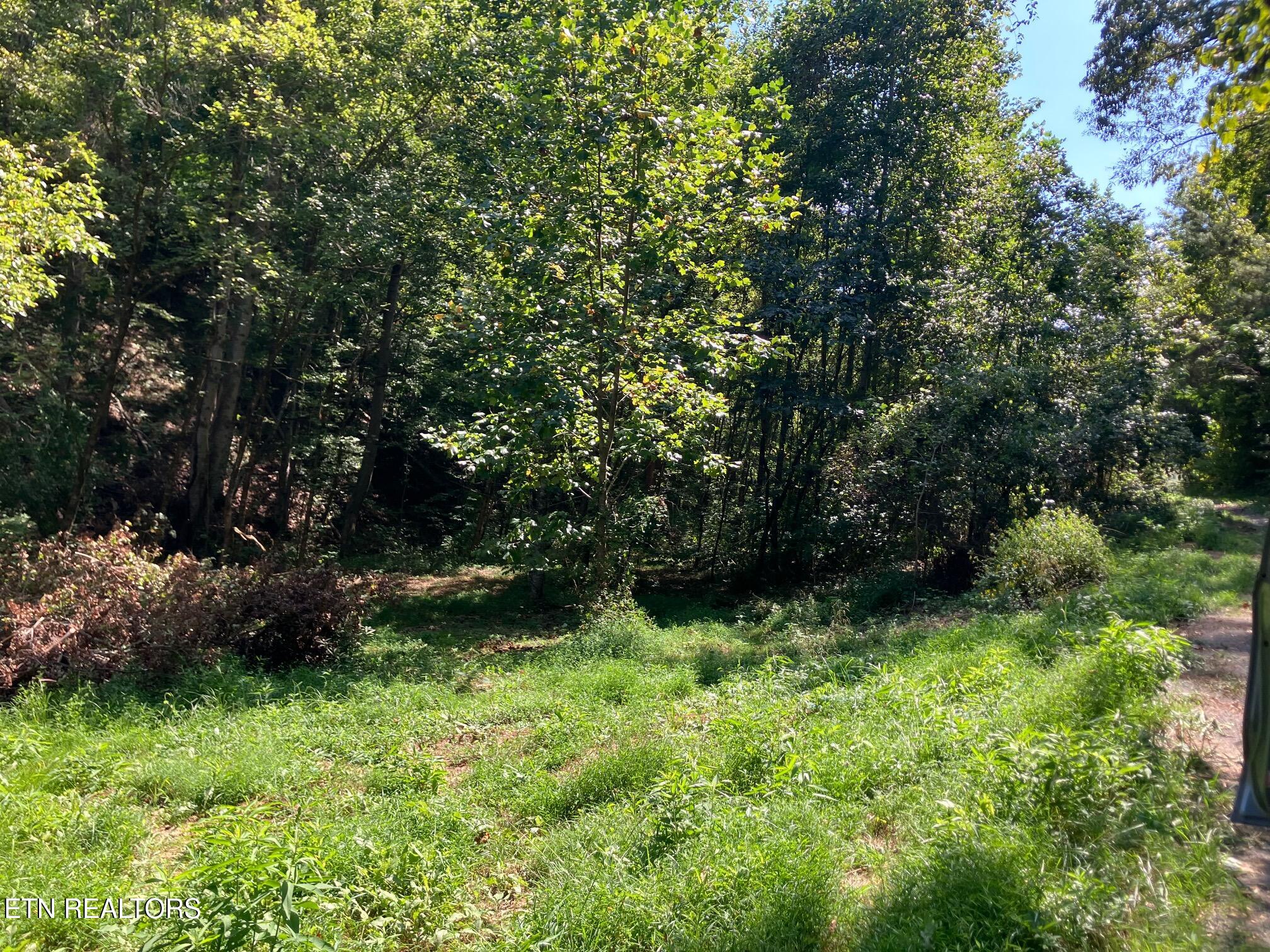 Tract 1 Ousley Gap Road Maynardville TN 37807