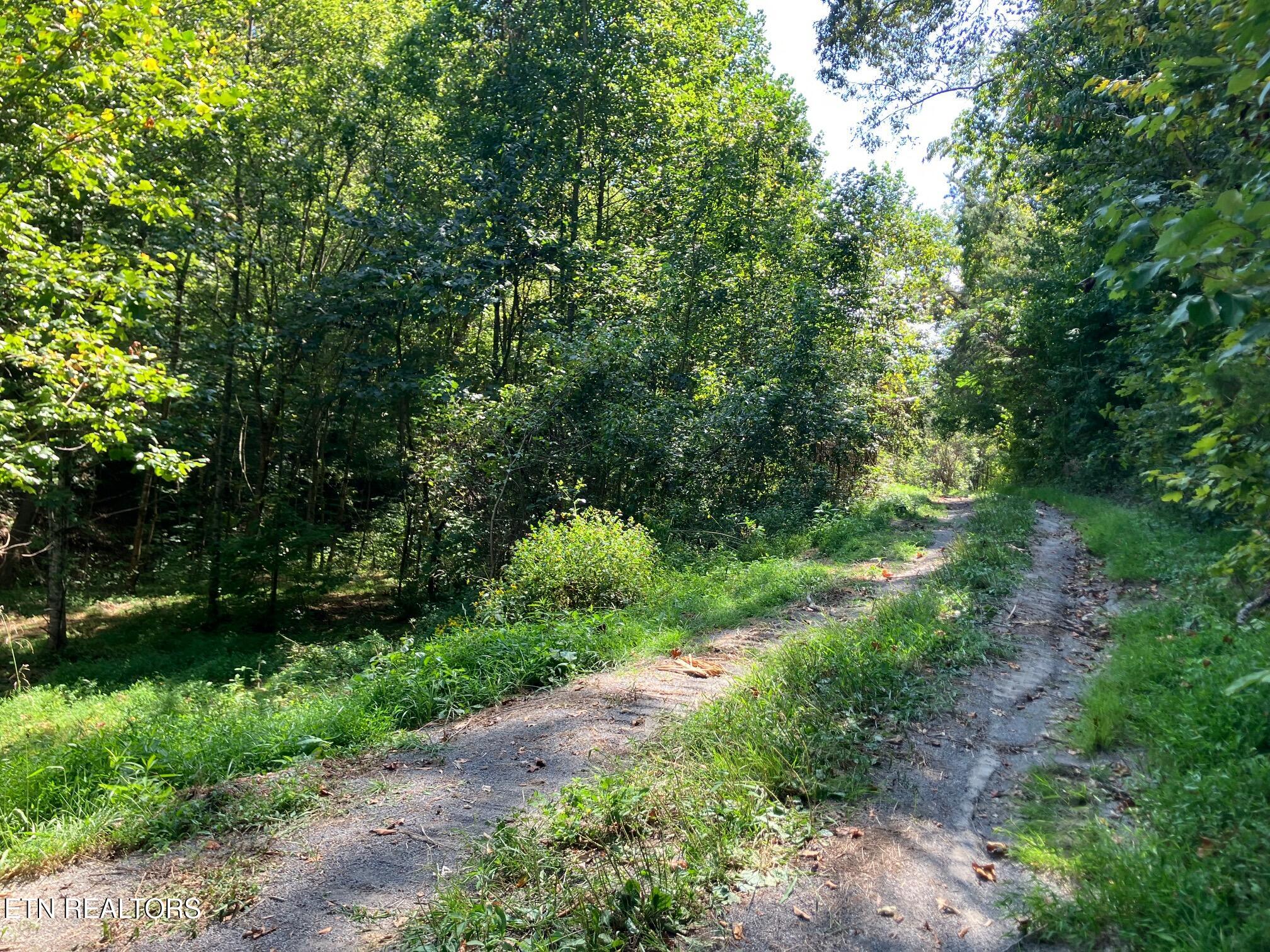 Tract 1 Ousley Gap Road Maynardville TN 37807