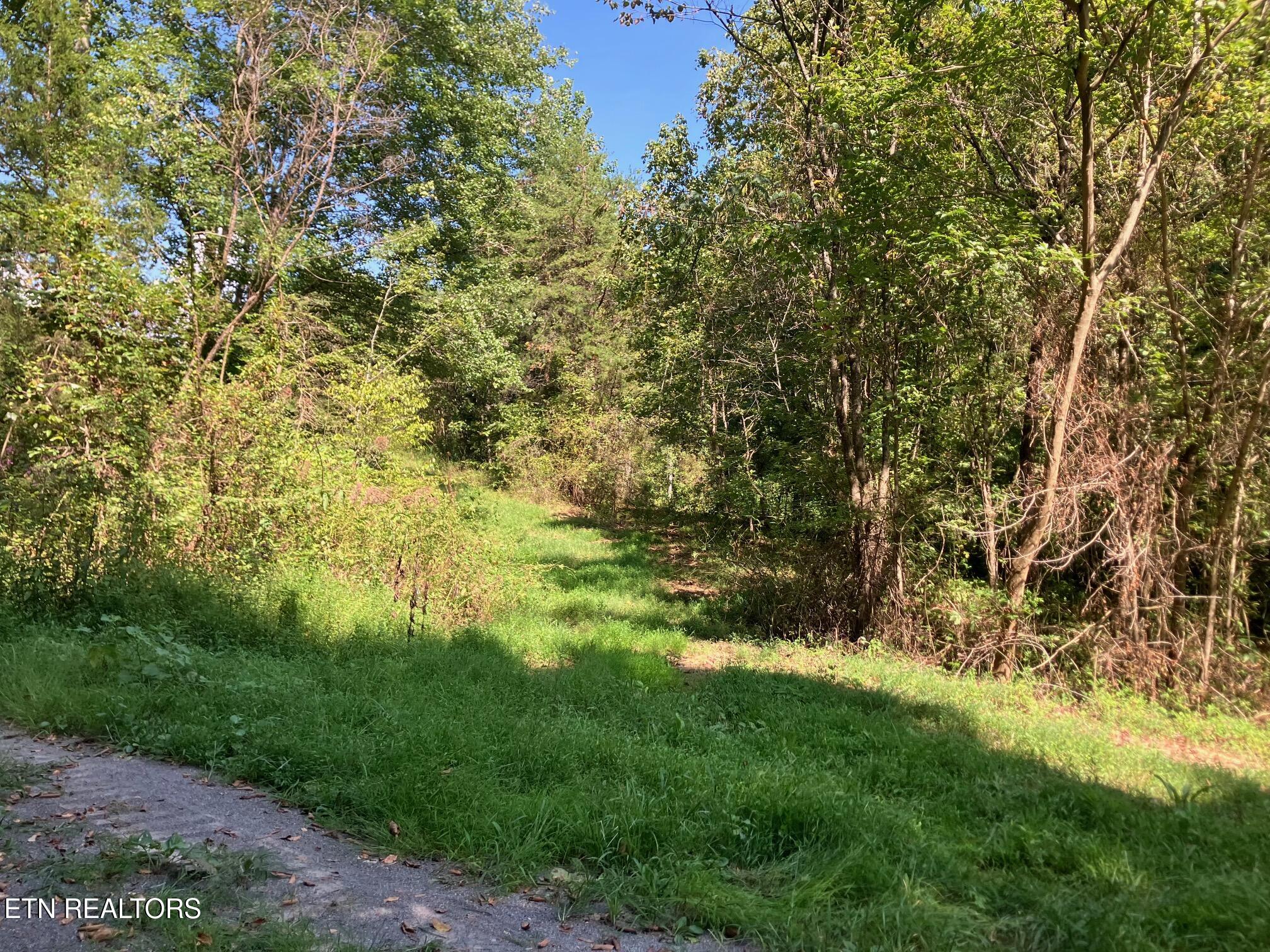 Tract 1 Ousley Gap Road Maynardville TN 37807