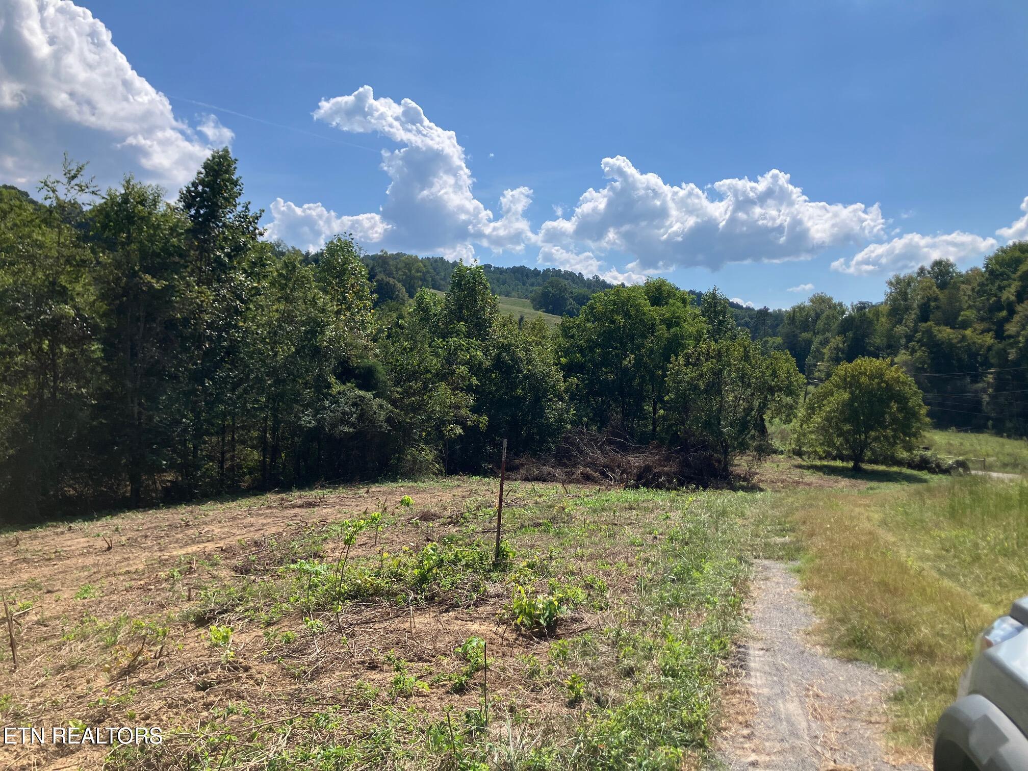 Tract 1 Ousley Gap Road Maynardville TN 37807