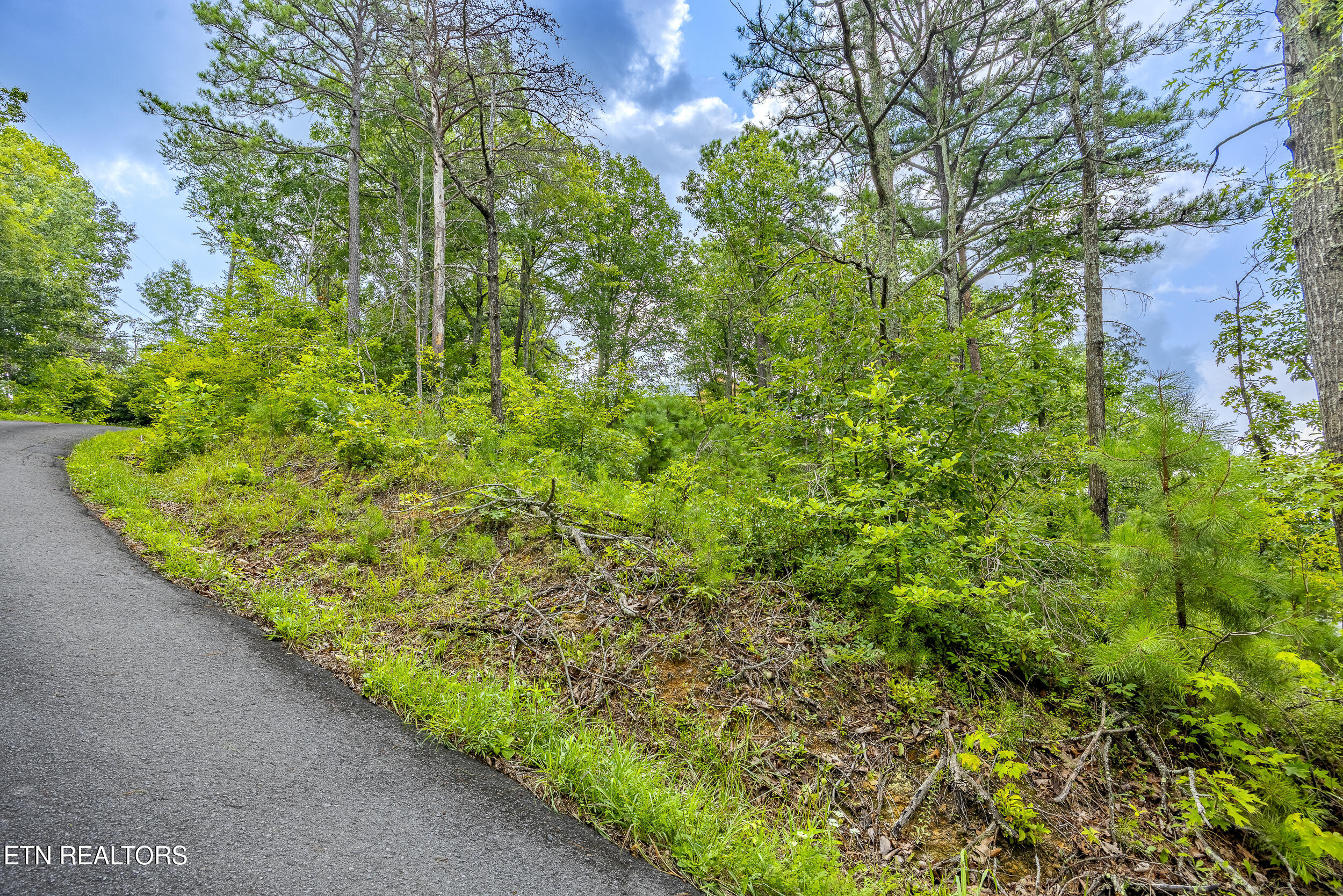Hatcher Mountain Road Sevierville TN 37862