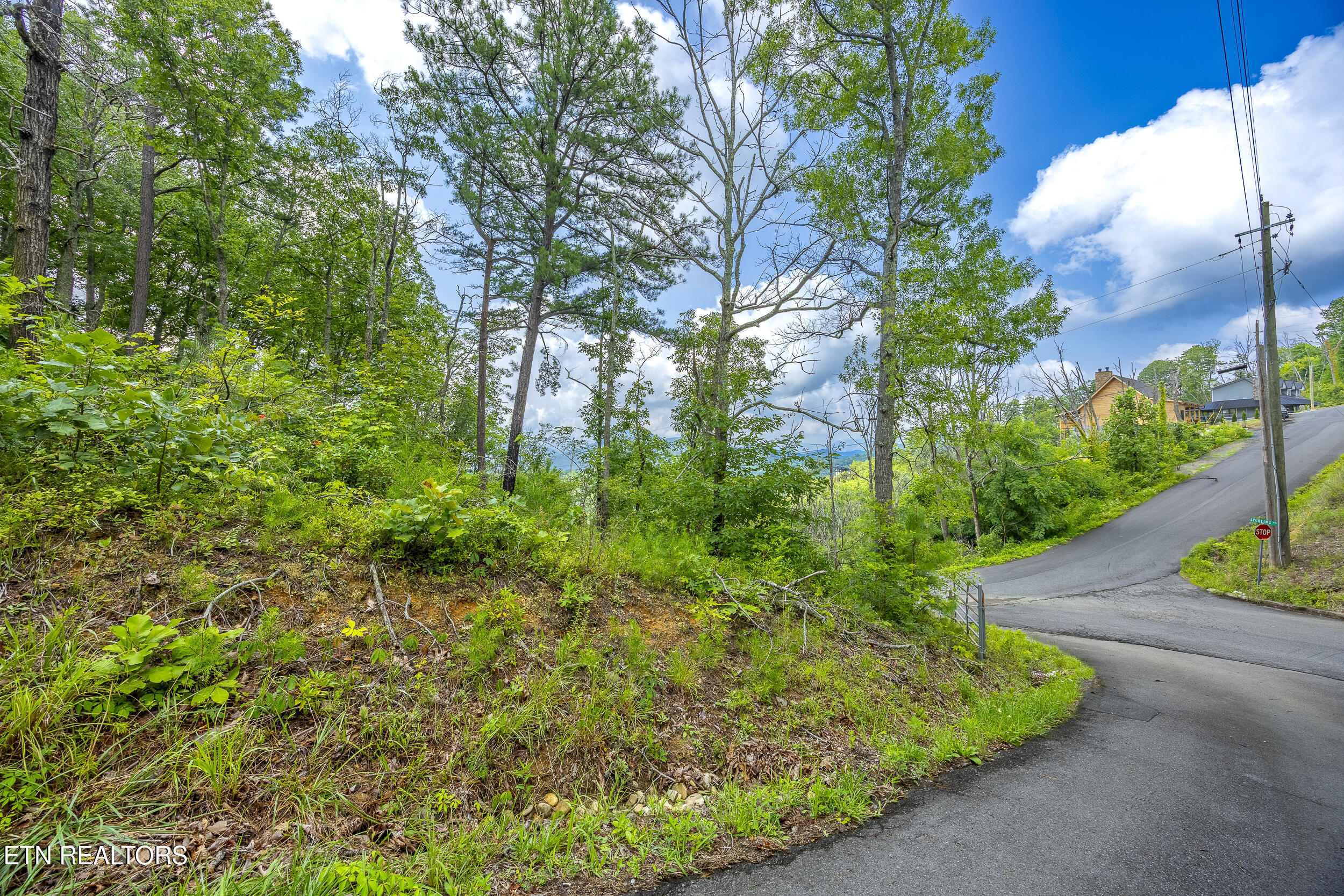 Hatcher Mountain Road Sevierville TN 37862