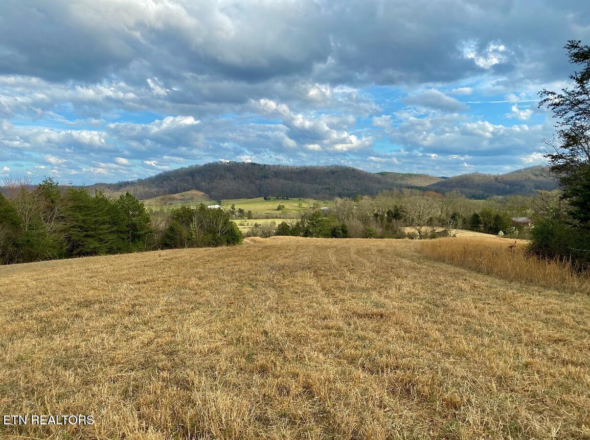 130 Mans Hollow Road Kingston TN 37763