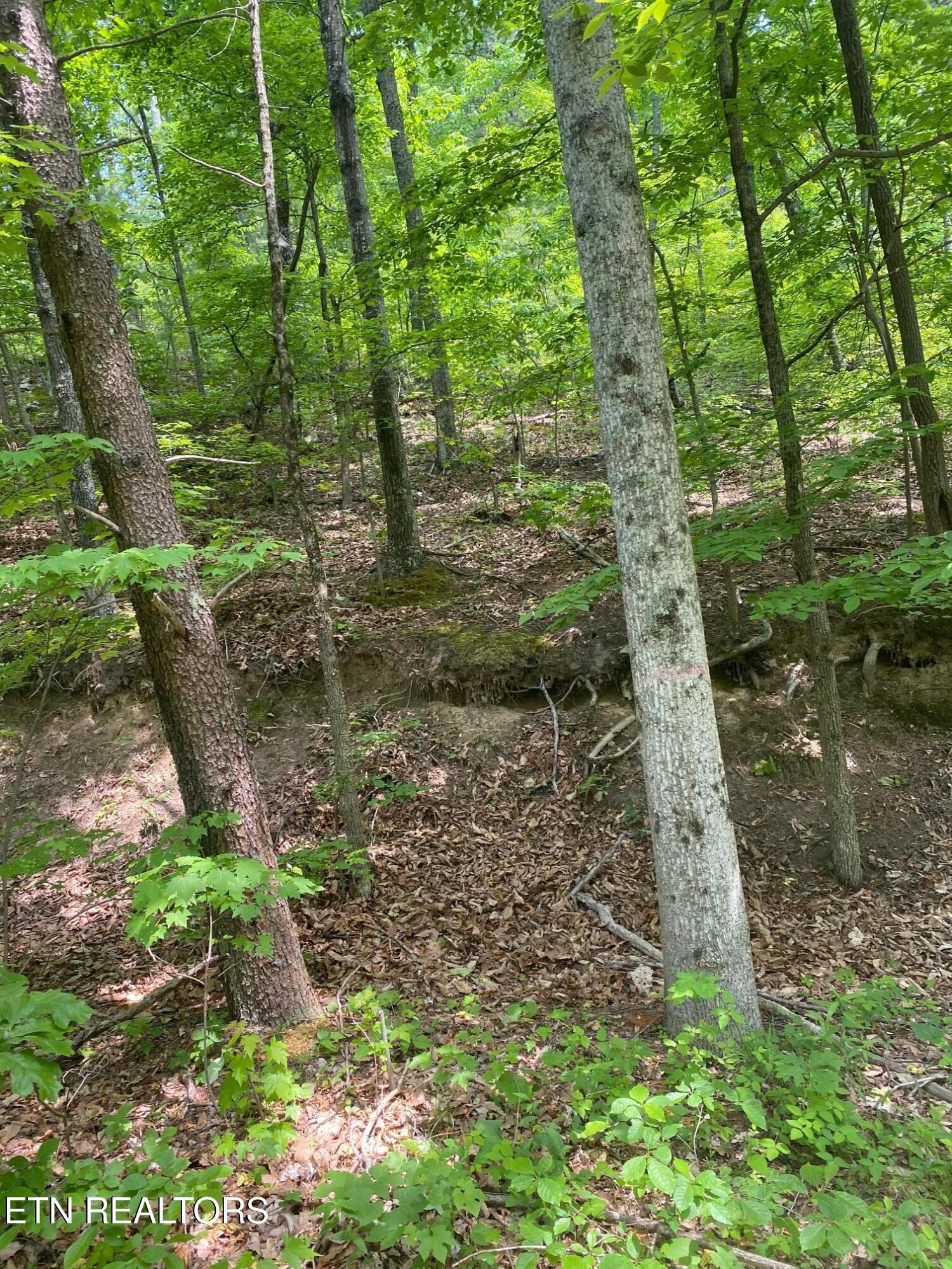 Lot 31 High Street Sevierville TN 37876