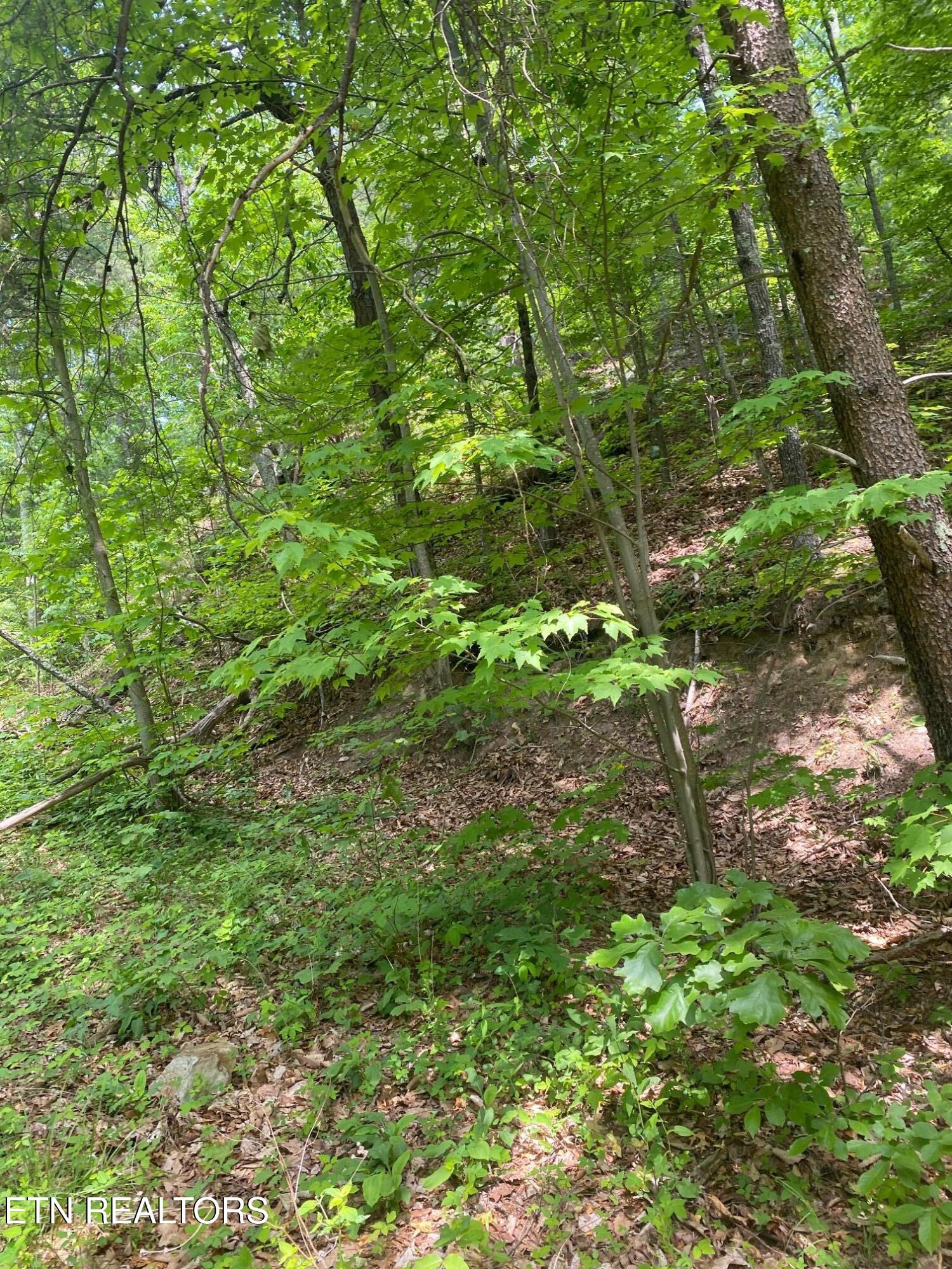 Lot 31 High Street Sevierville TN 37876