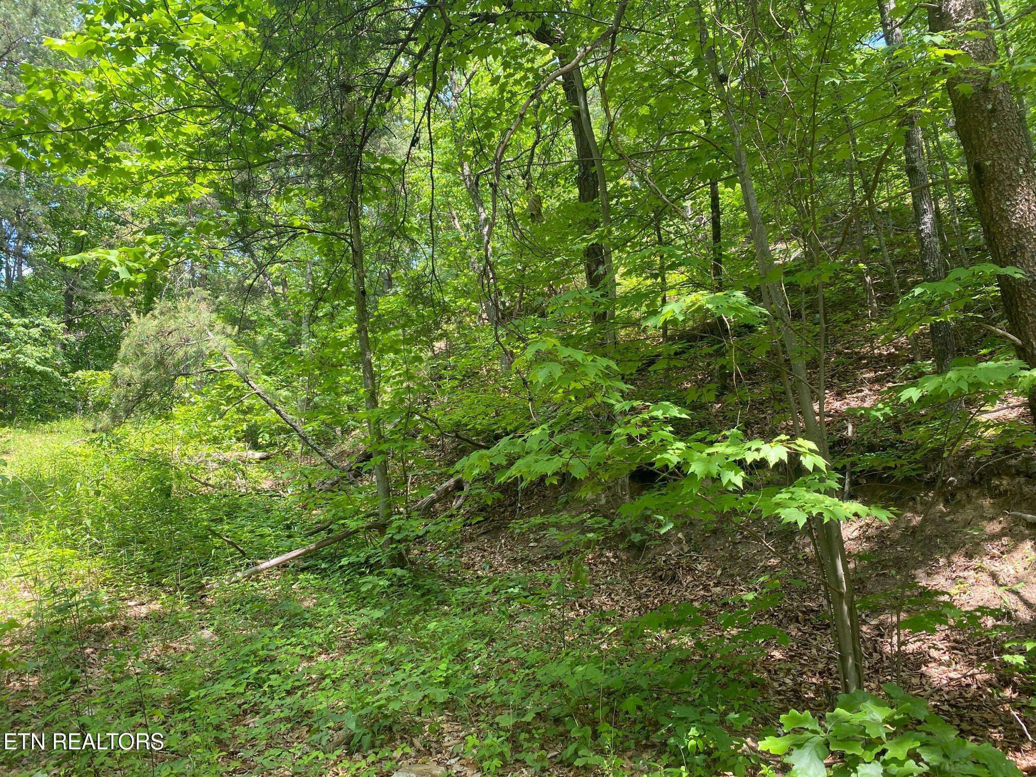 Lot 31 High Street Sevierville TN 37876