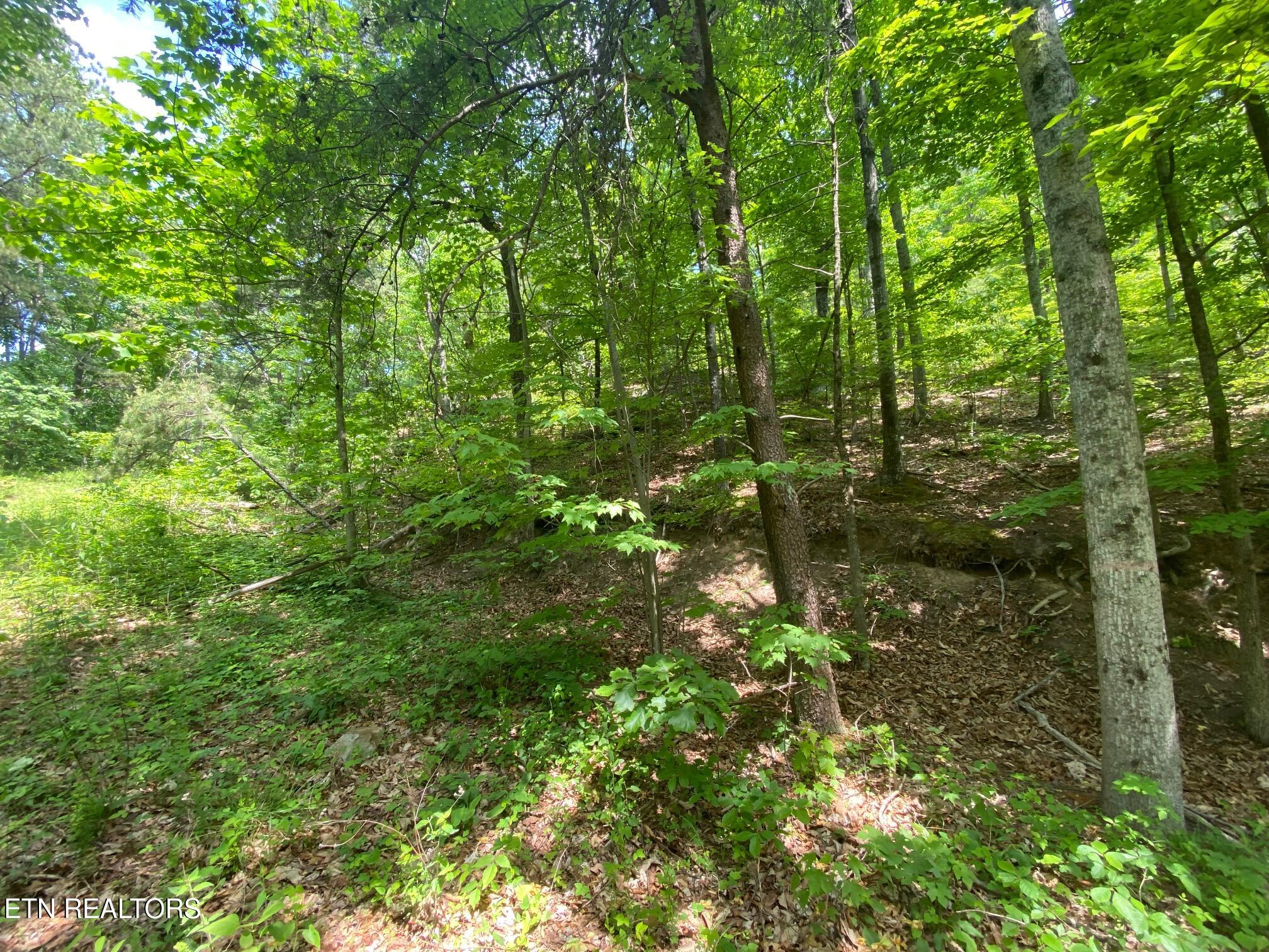 Lot 31 High Street Sevierville TN 37876