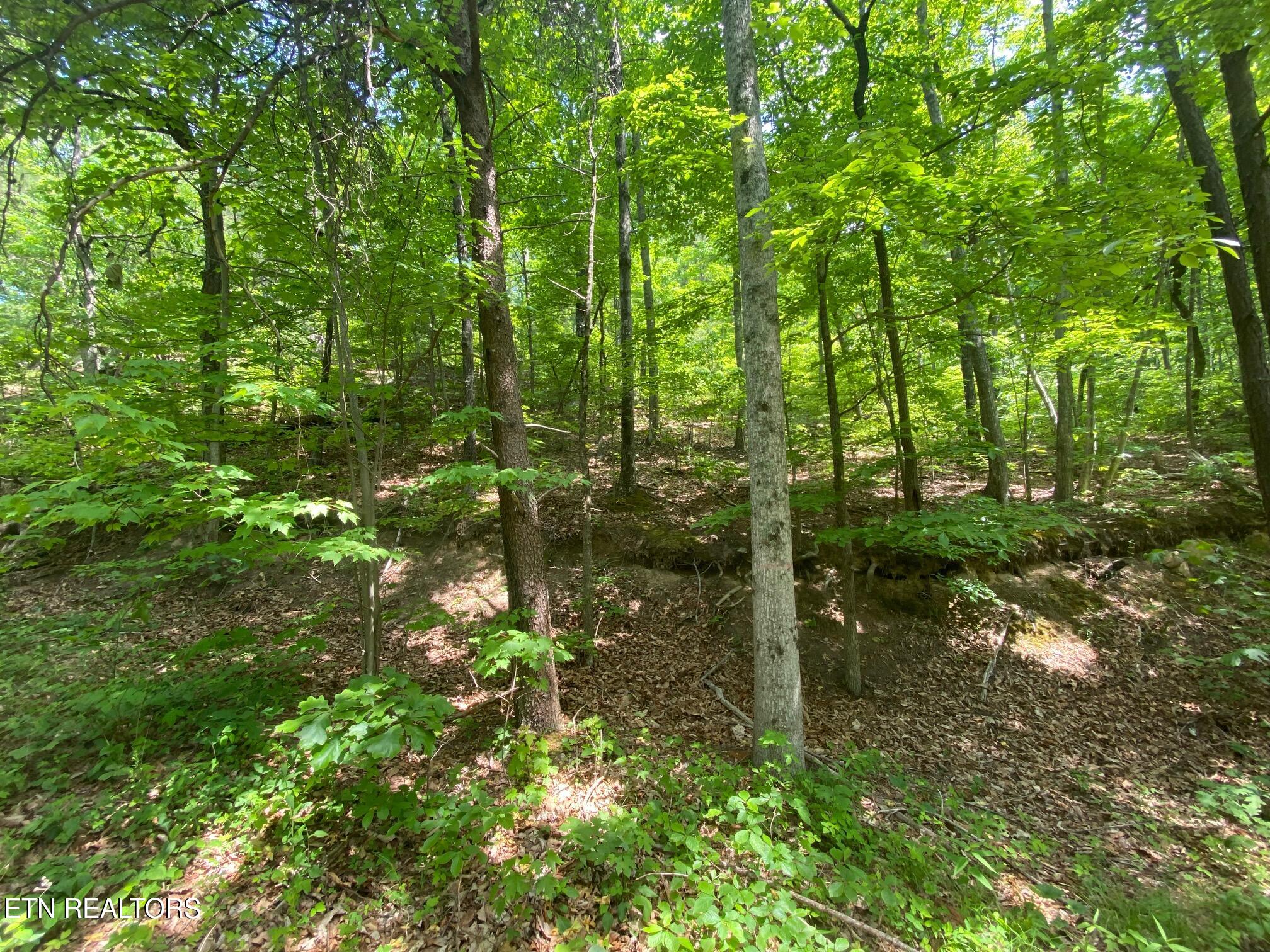 Lot 31 High Street Sevierville TN 37876