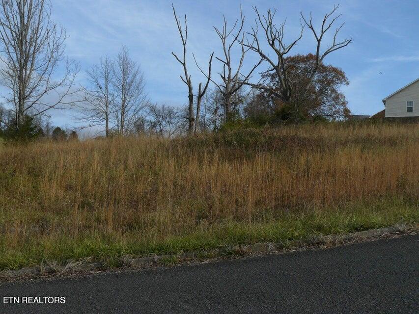 141 Henley Street Tazewell TN 37879