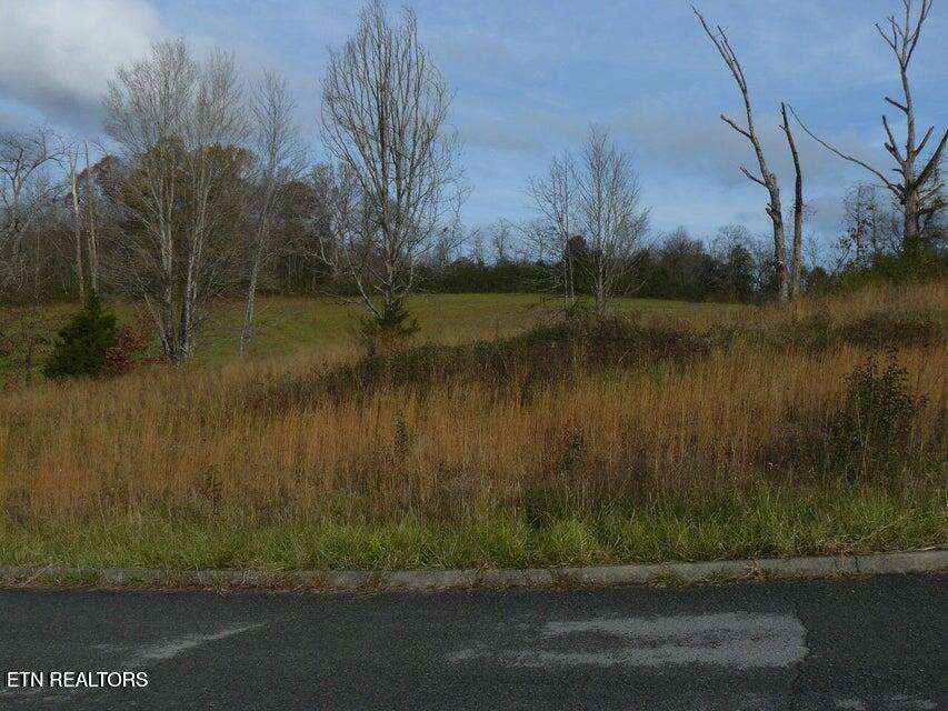 141 Henley Street Tazewell TN 37879