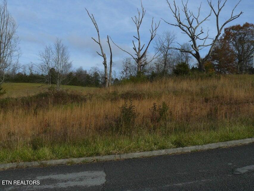 141 Henley Street Tazewell TN 37879
