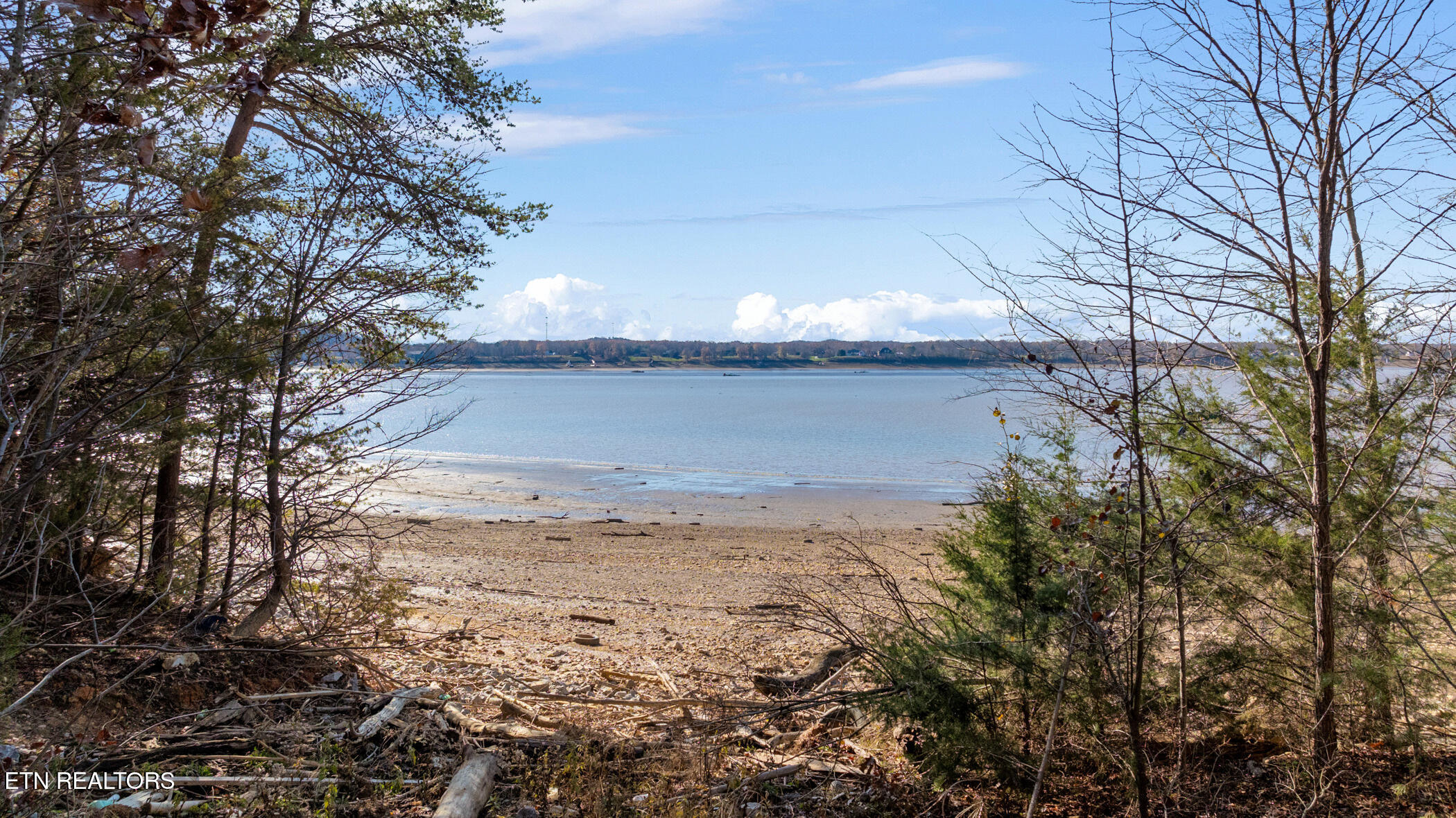 Travelers Cove Baneberry TN 37890