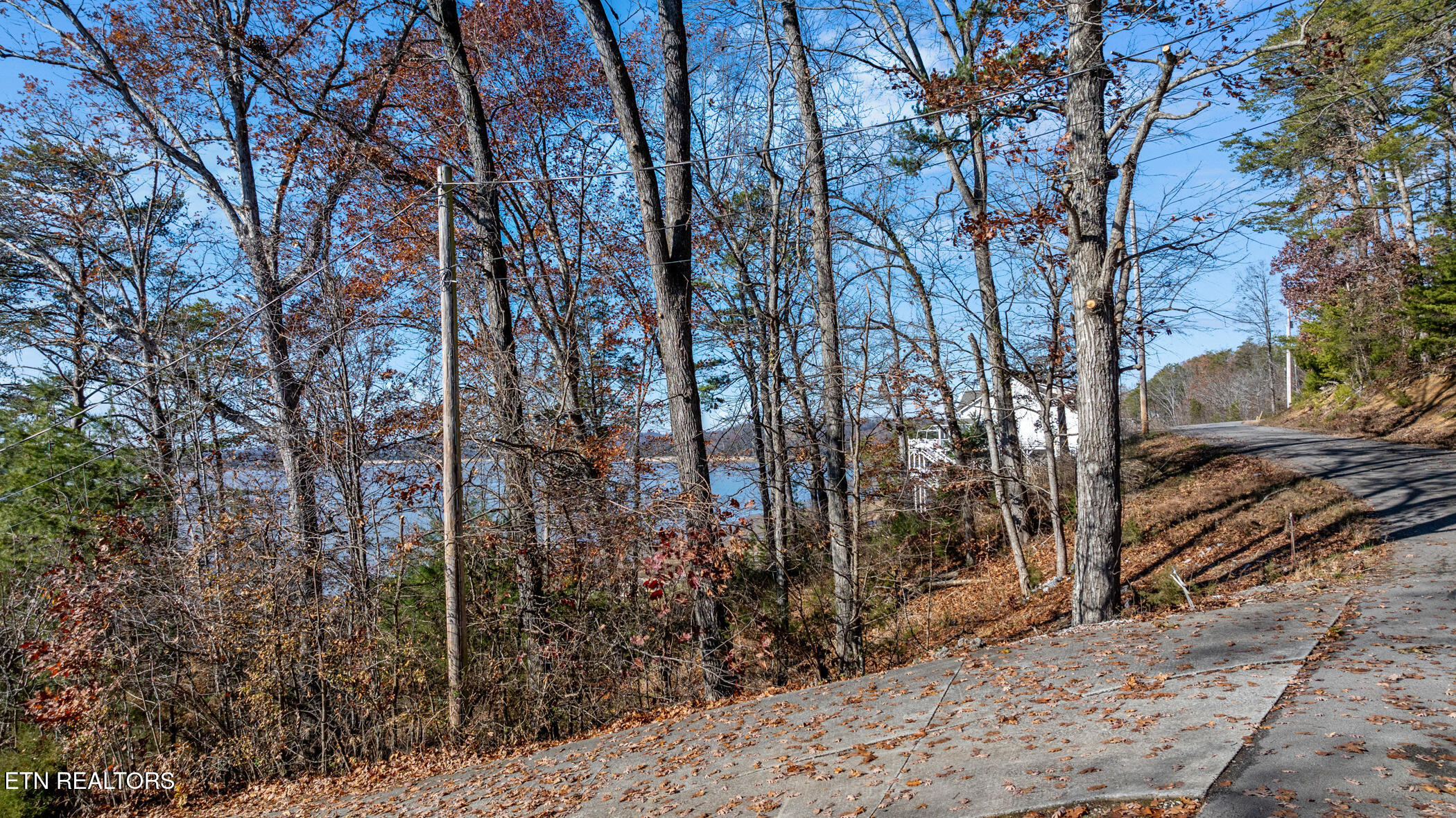 Travelers Cove Baneberry TN 37890