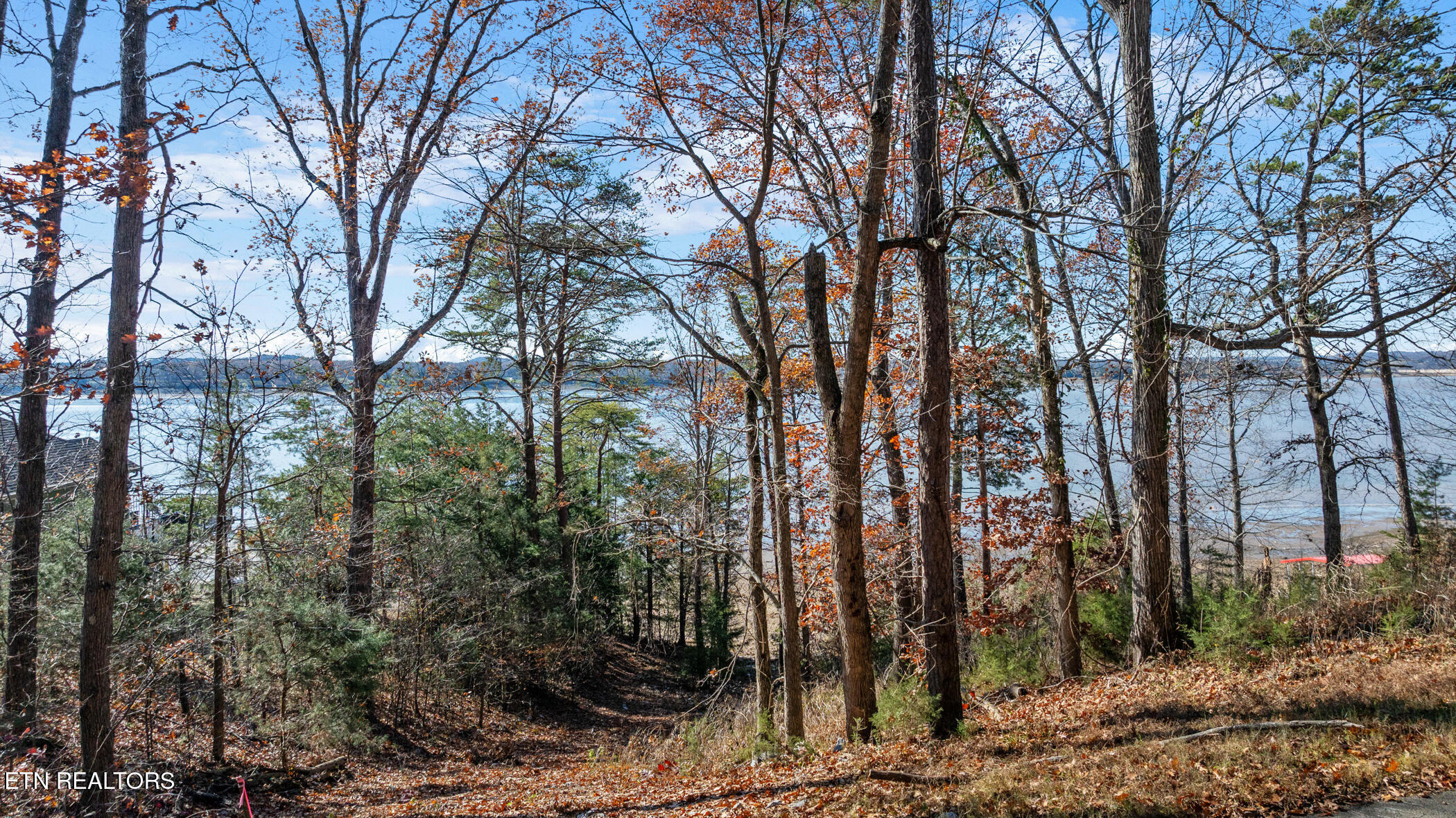 Travelers Cove Baneberry TN 37890