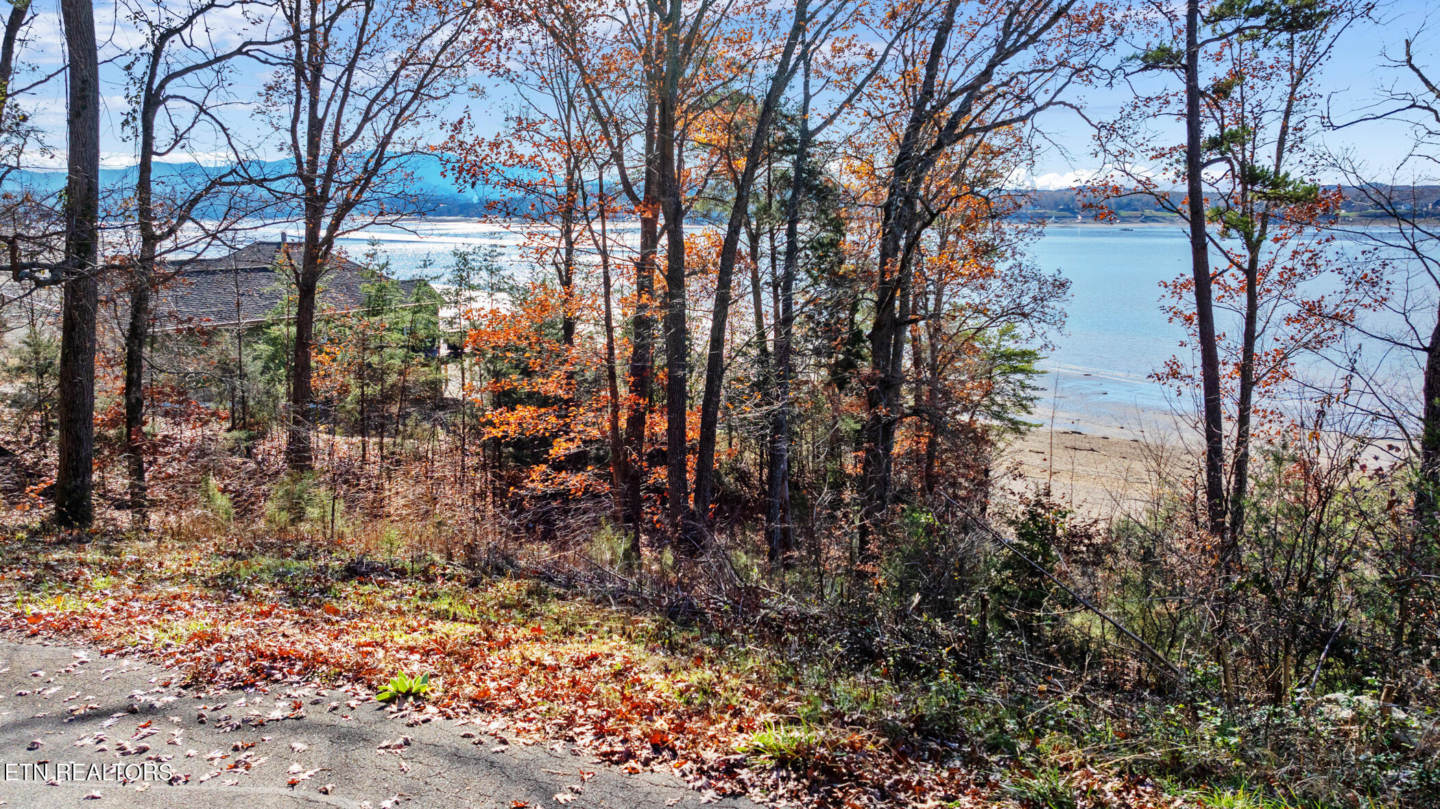 Travelers Cove Baneberry TN 37890