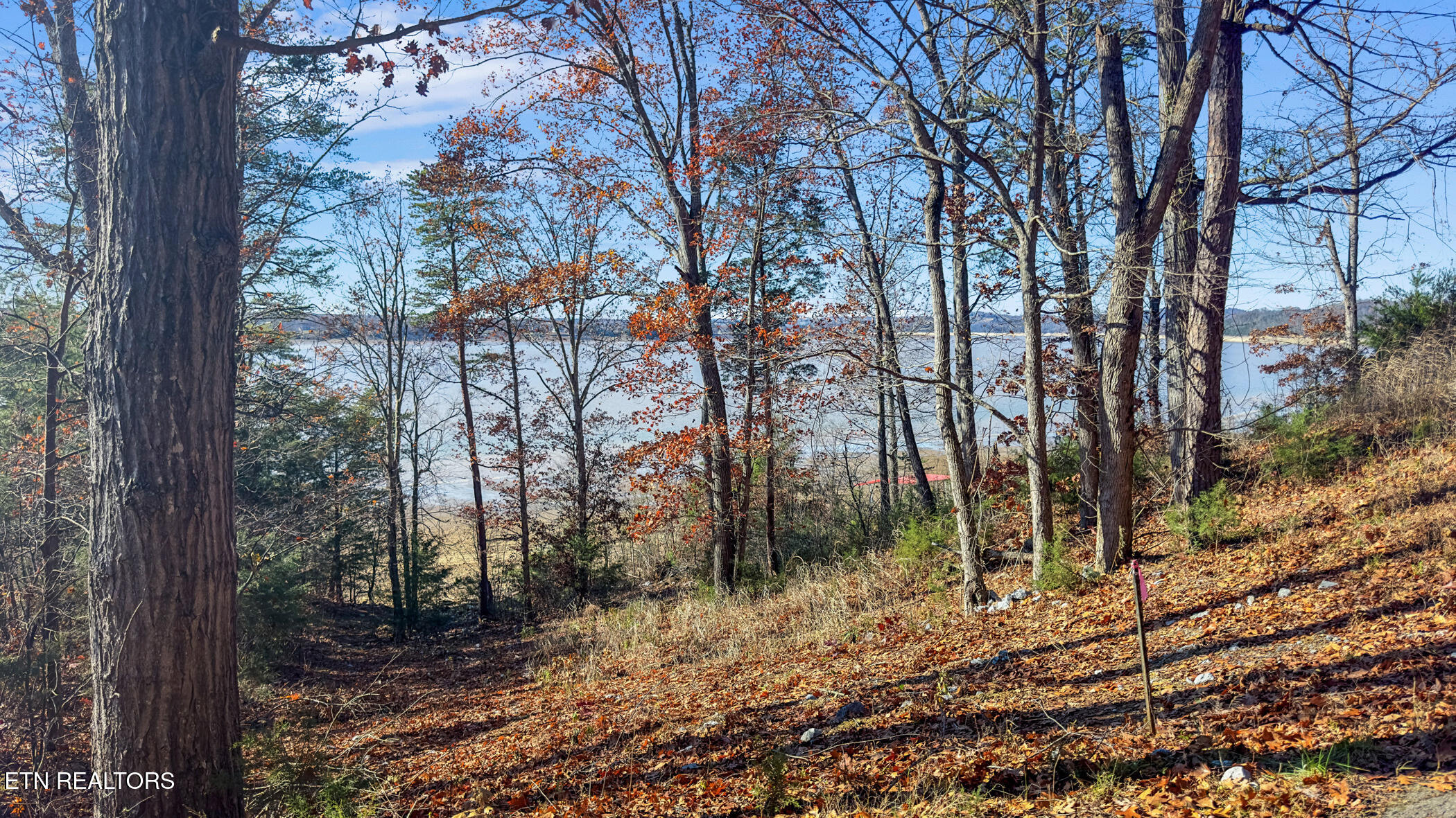 Travelers Cove Baneberry TN 37890