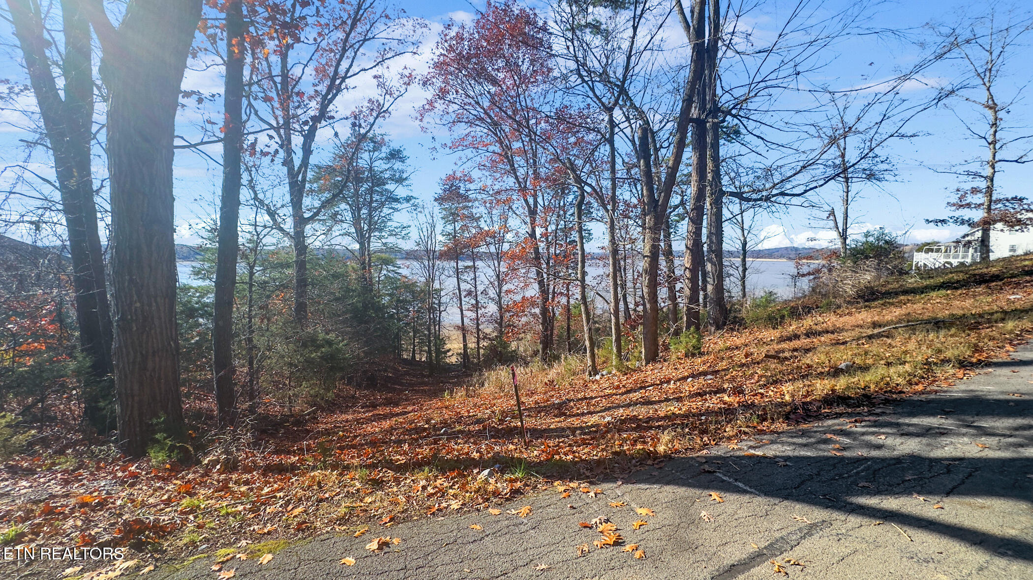 Travelers Cove Baneberry TN 37890