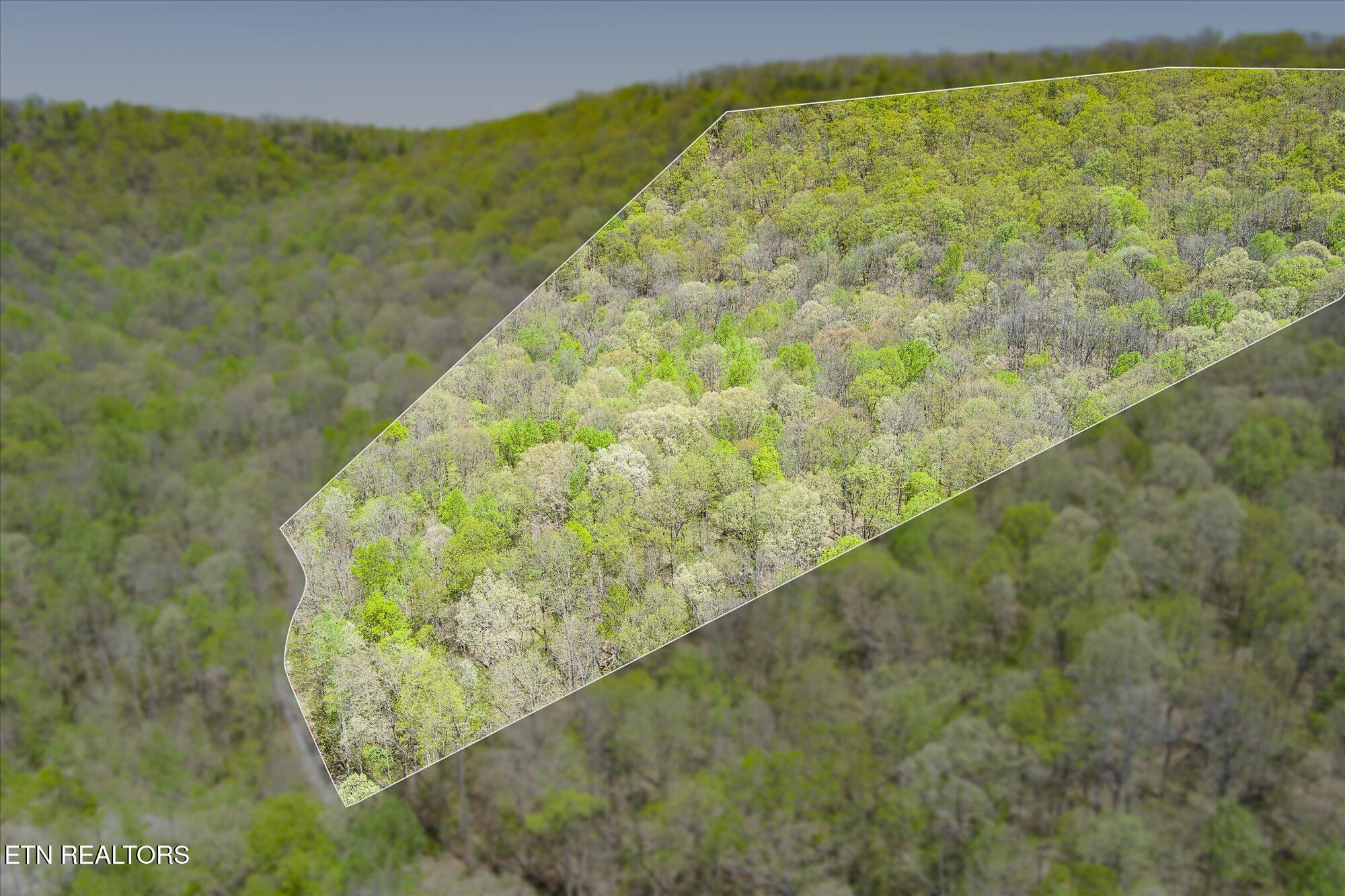 Pawnee Lane Jamestown TN 38556