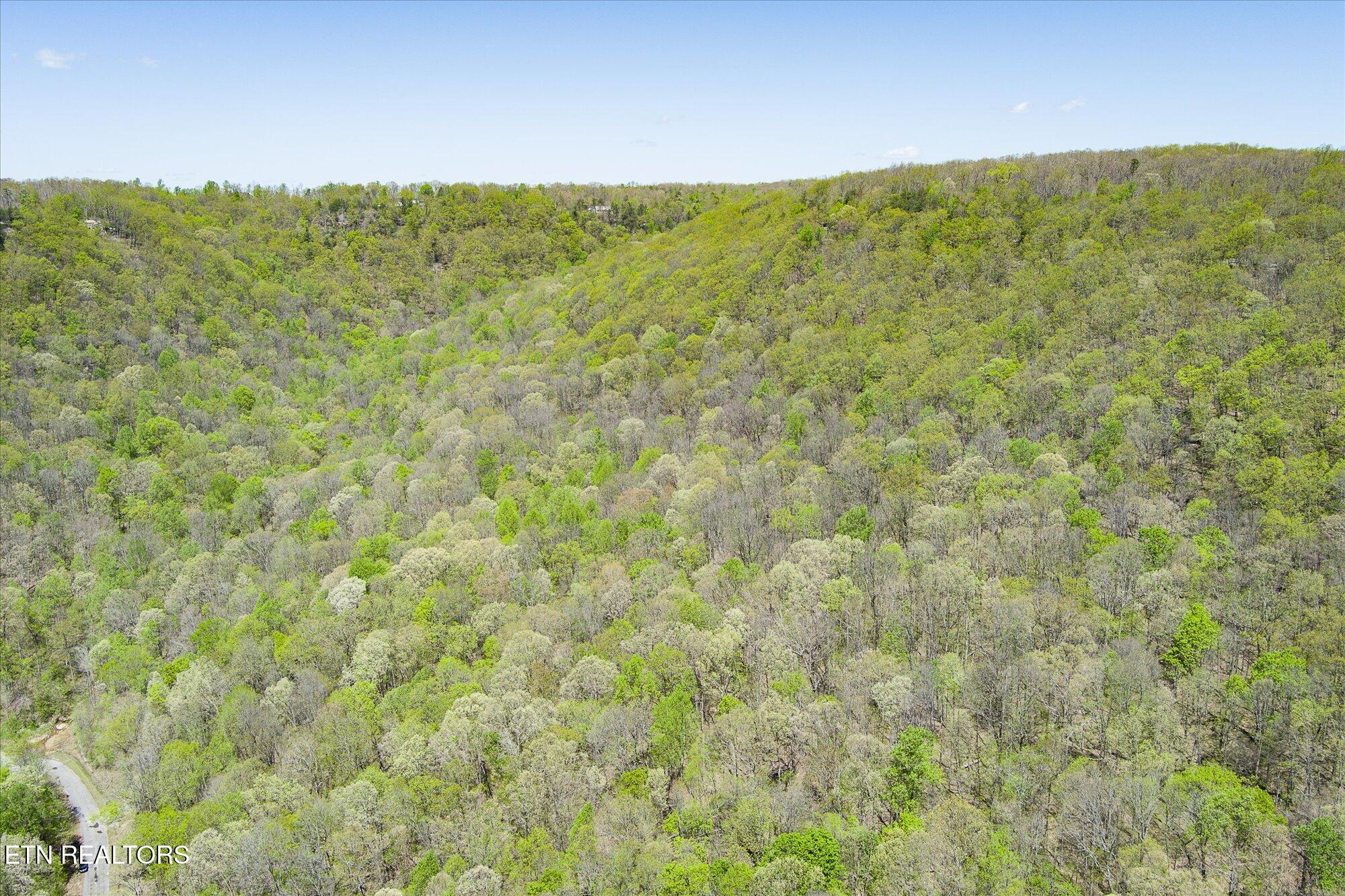Pawnee Lane Jamestown TN 38556
