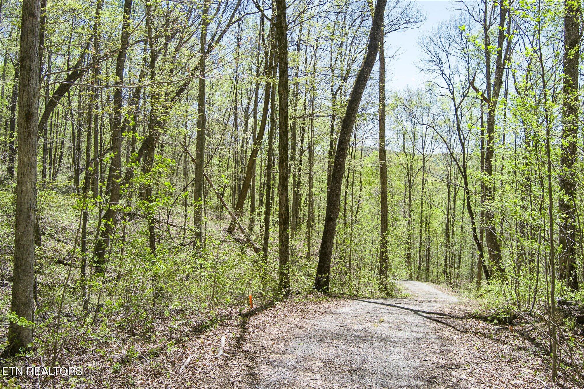 Pawnee Lane Jamestown TN 38556