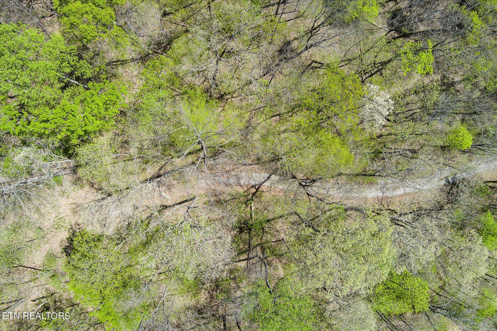 Pawnee Lane Jamestown TN 38556