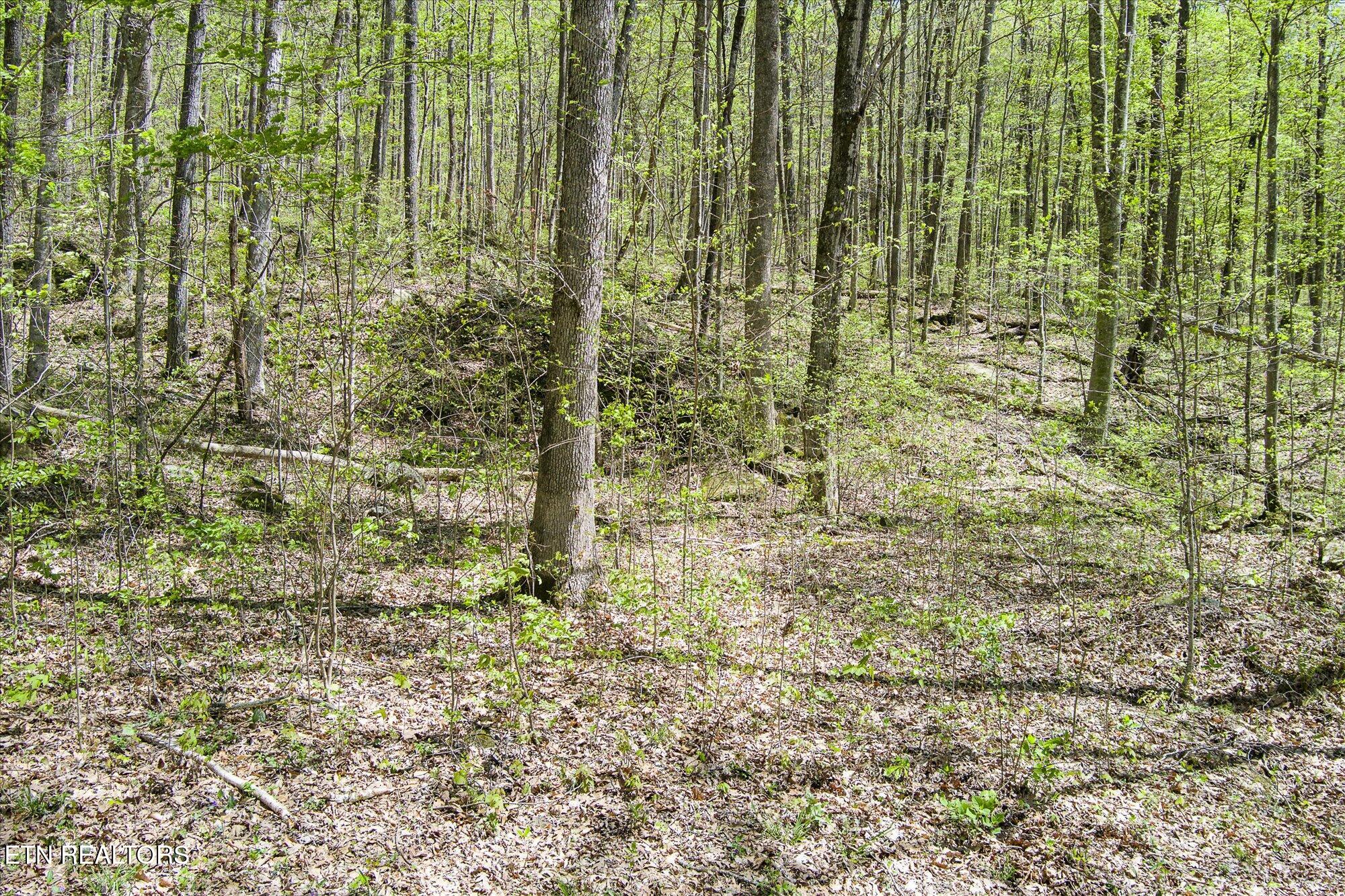 Pawnee Lane Jamestown TN 38556