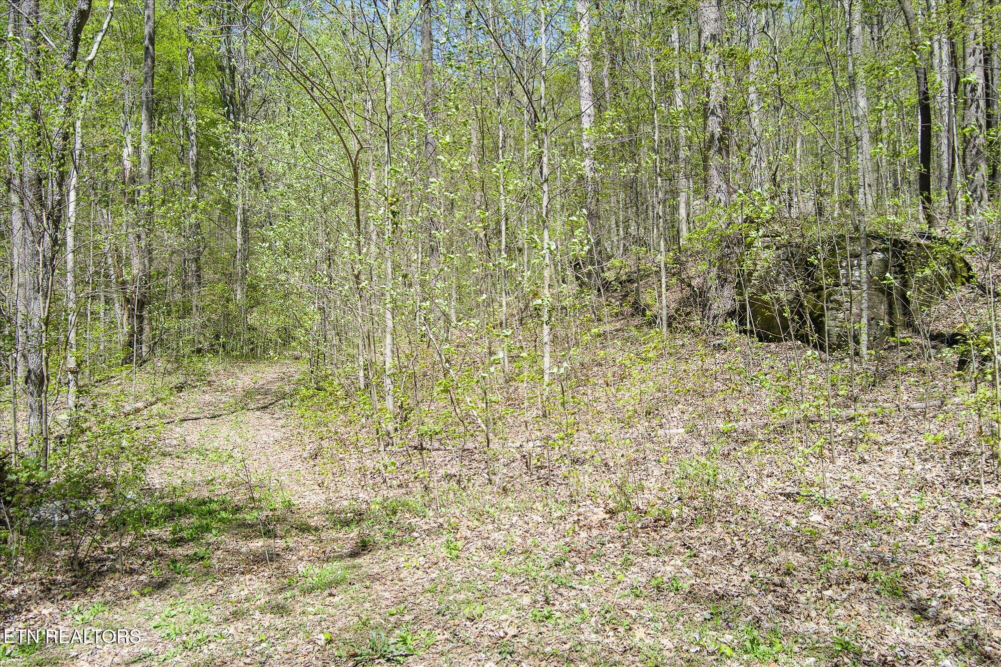 Pawnee Lane Jamestown TN 38556