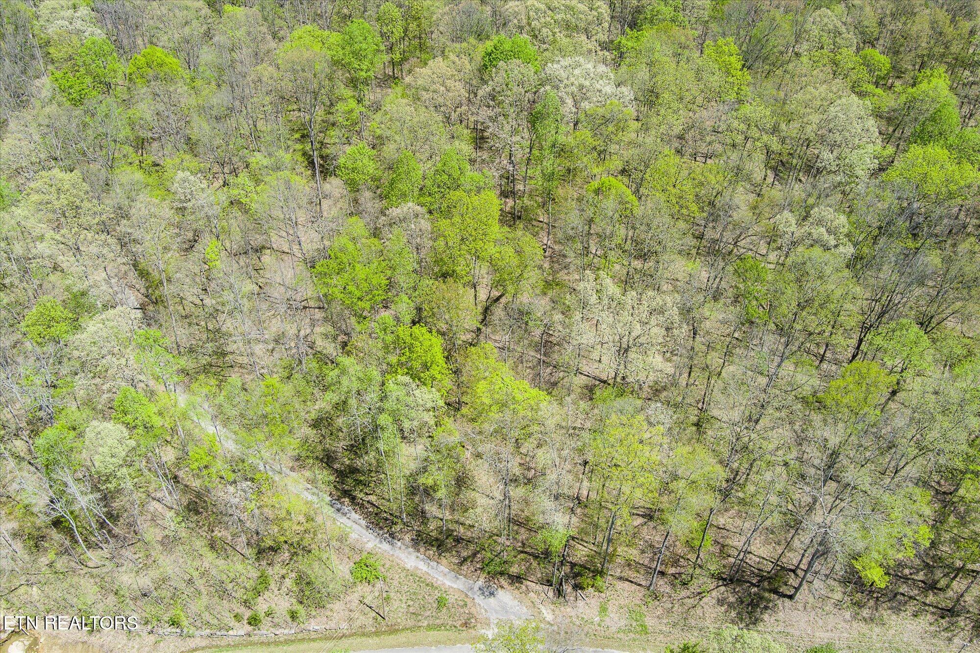 Pawnee Lane Jamestown TN 38556
