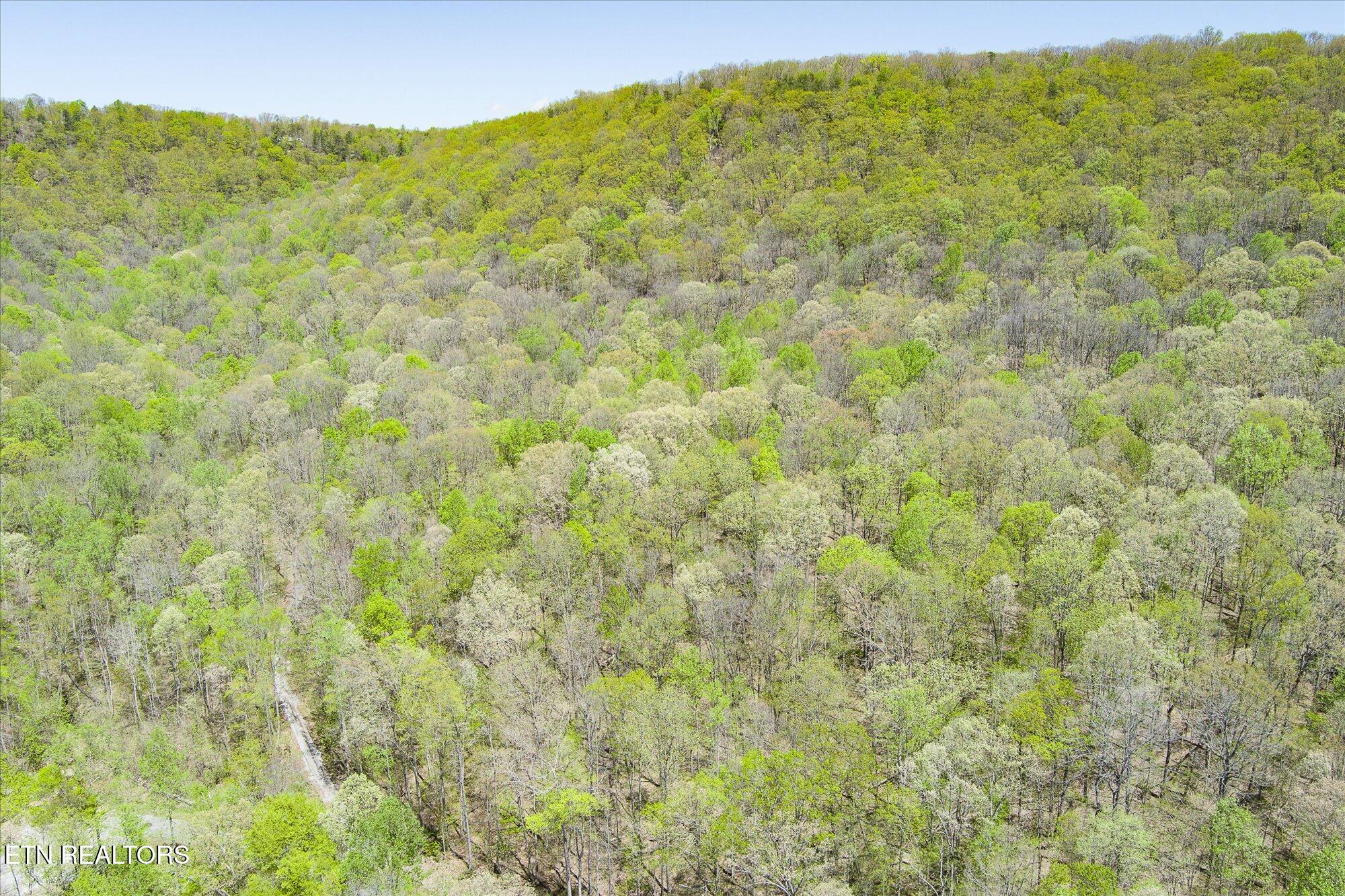 Pawnee Lane Jamestown TN 38556