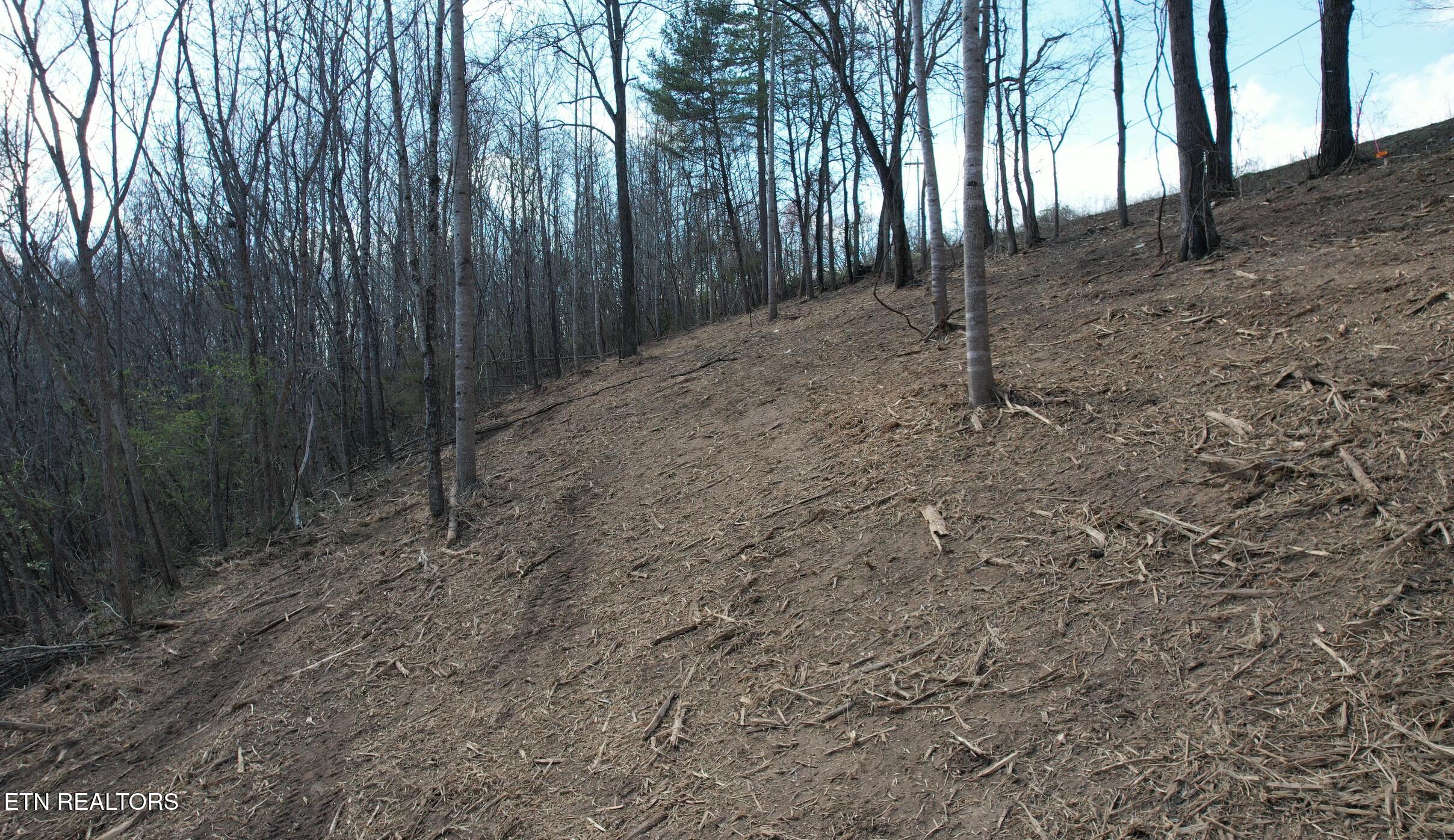 4160 Demory Road Lafollette TN 37766
